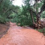How to survive flash flooding in a Utah slot canyon and elsewhere