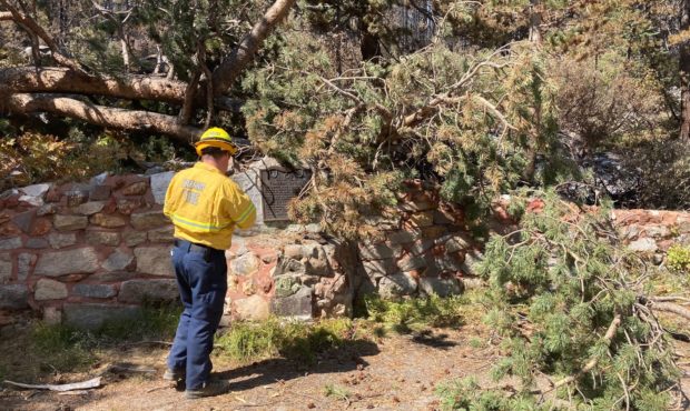 Firefighter Fred Woods assesses damages at Tragedy Springs.

(Jonathan Pierce Calfire)...