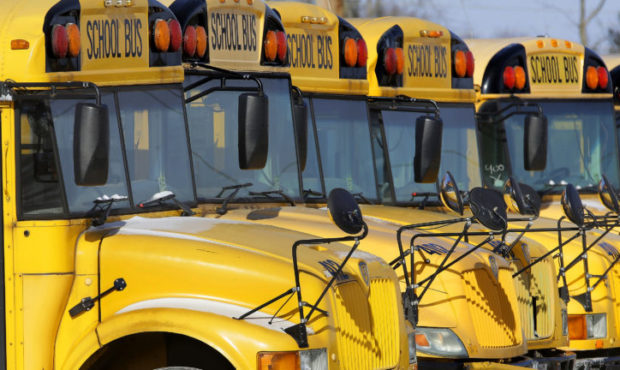 FILE - This Jan. 7, 2015 file photo shows public school buses parked in Springfield, Ill. Child abu...