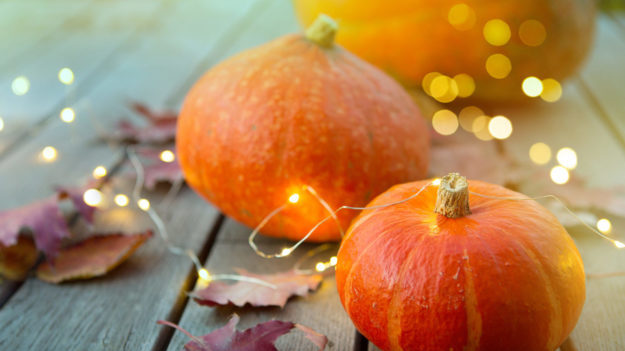 Small pumpkins surrounded by string lights, a giant pumpkin contest will be held in Utah....