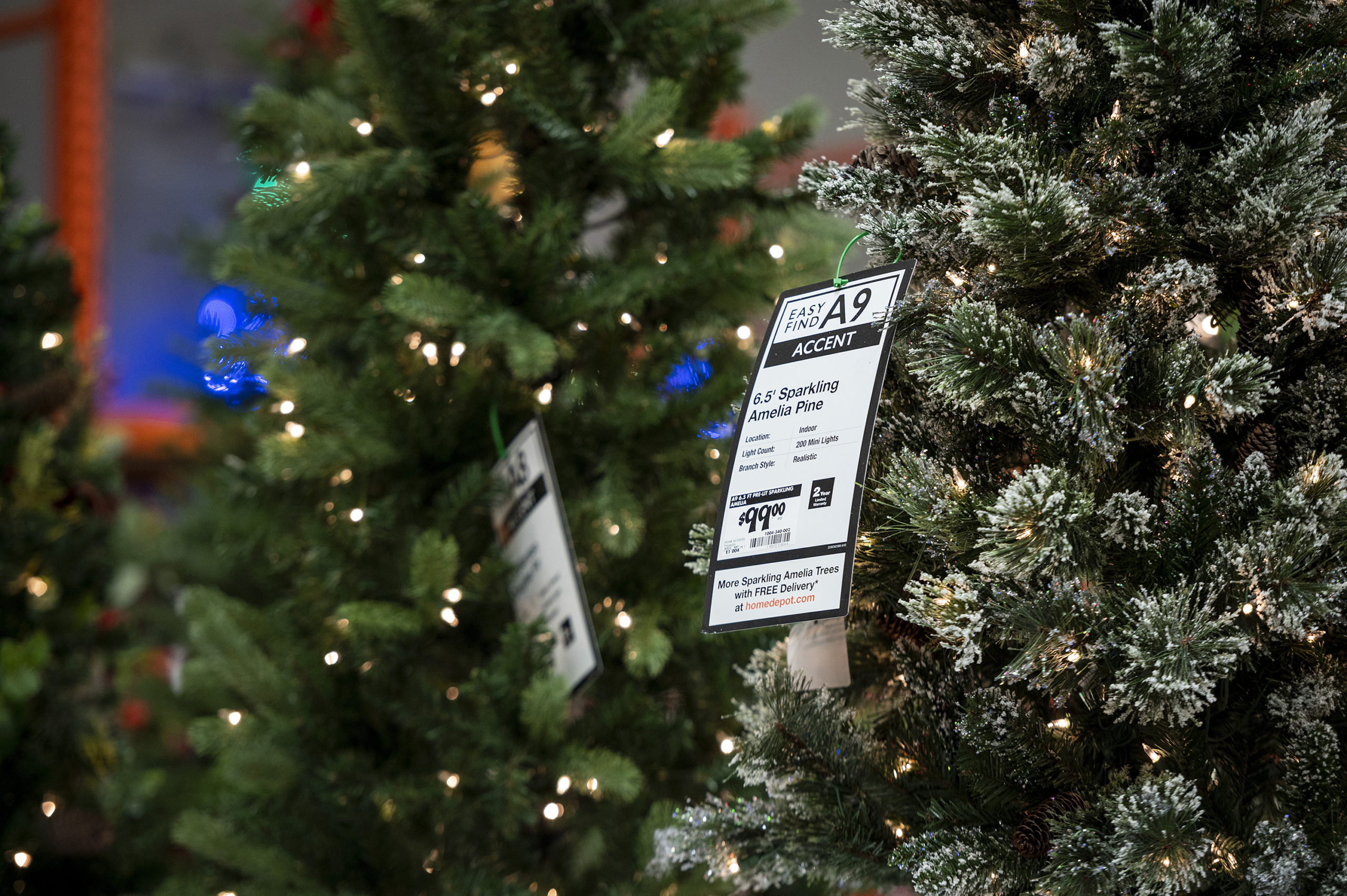 Christmas trees for sale at a store in Chicago, Illinois on Monday, Nov. 23, 2020. Photo credit: Ch...