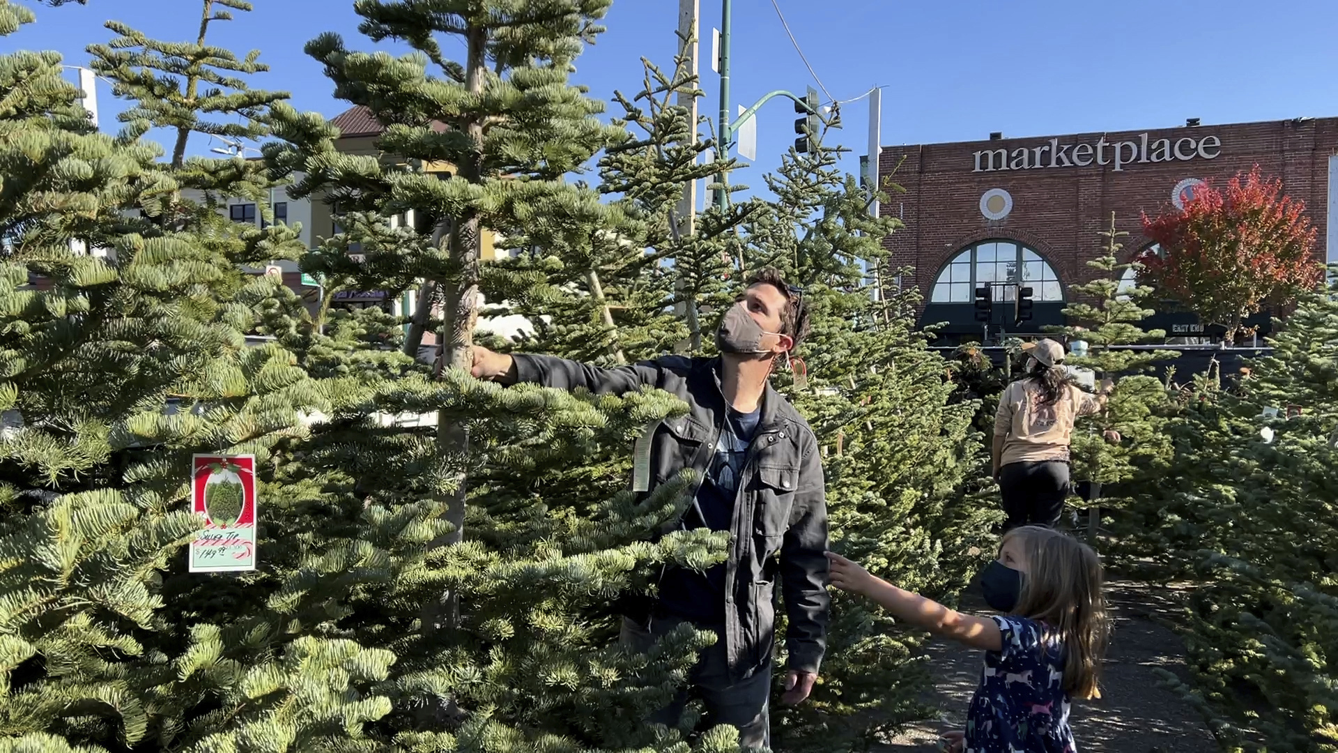 A man shops for a Christmas tree at Crystal River Christmas Trees in Alameda, Calif. on Nov. 26, 20...
