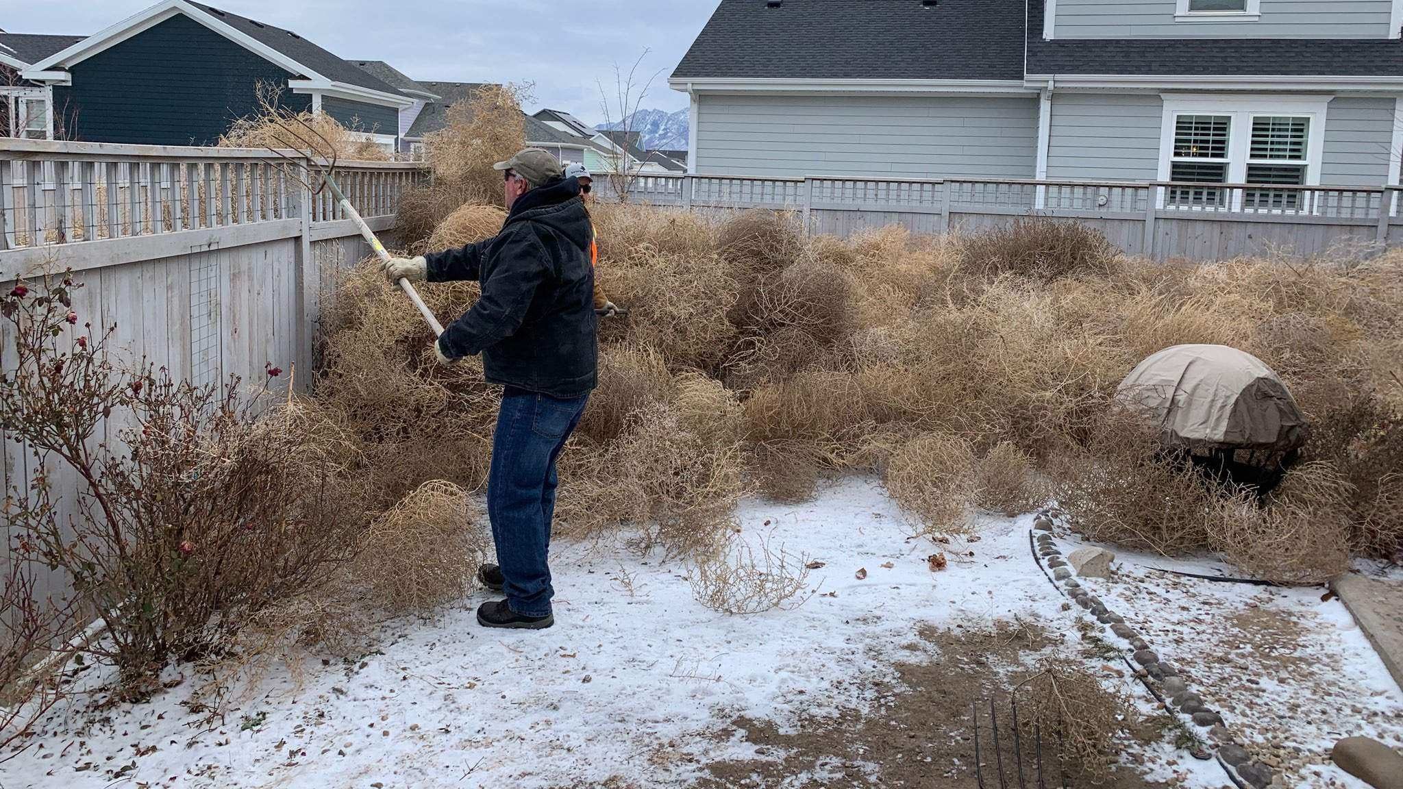 South Jordan said their cleanup efforts have concluded, taking 25 dumpsters-full of tumbleweeds to ...