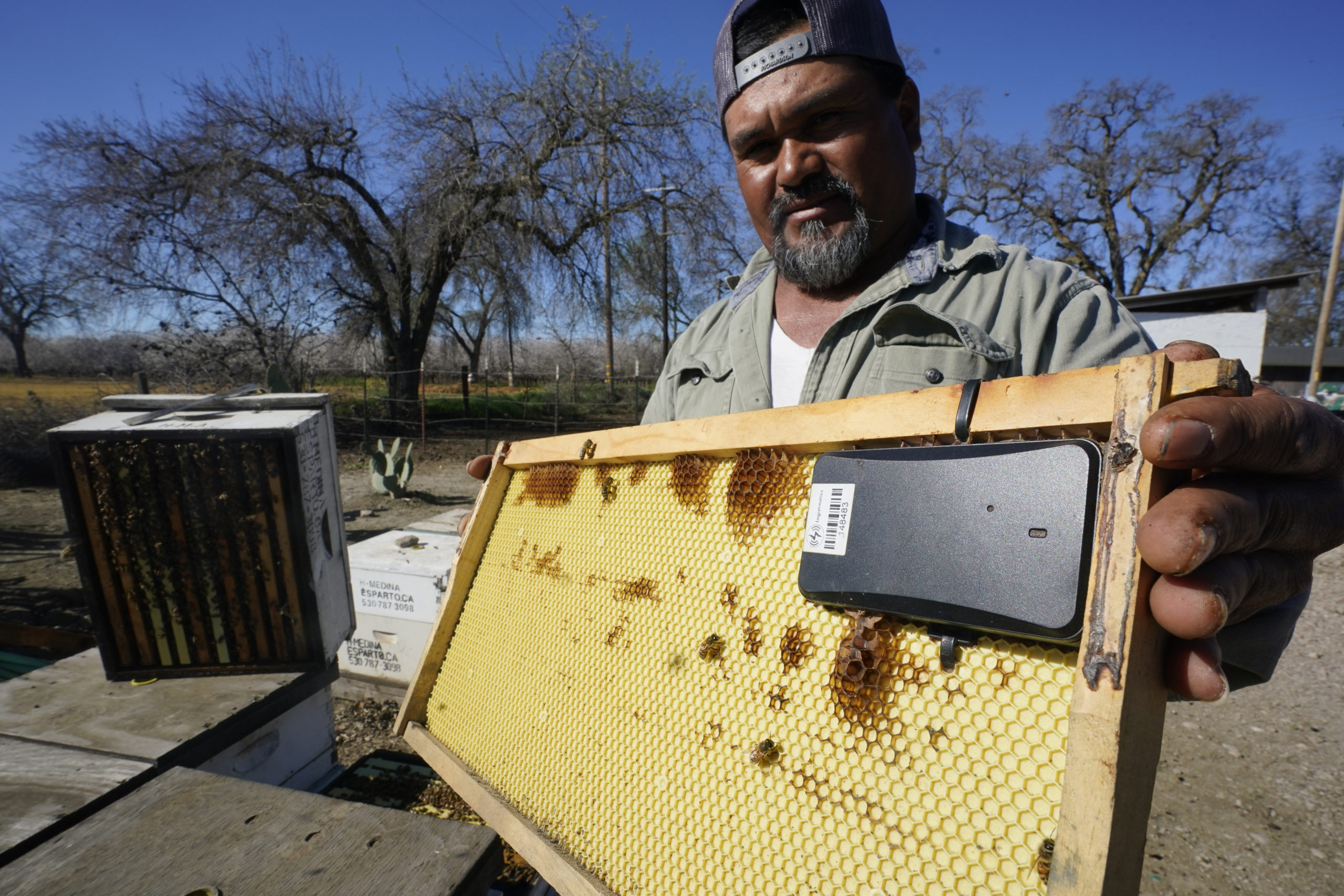 Beekeeper Hello Medina displays a beehive frame outfitted with a GPS locater that will be installed...