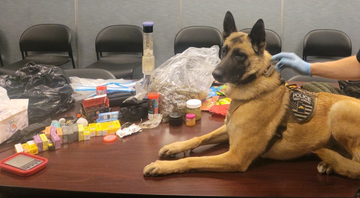 (PS9 officer Maya seen after a drug case she worked on.  Photo courtesy the West Jordan Police Depa...