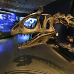 Natural History Museum of Utah launches accessible tours