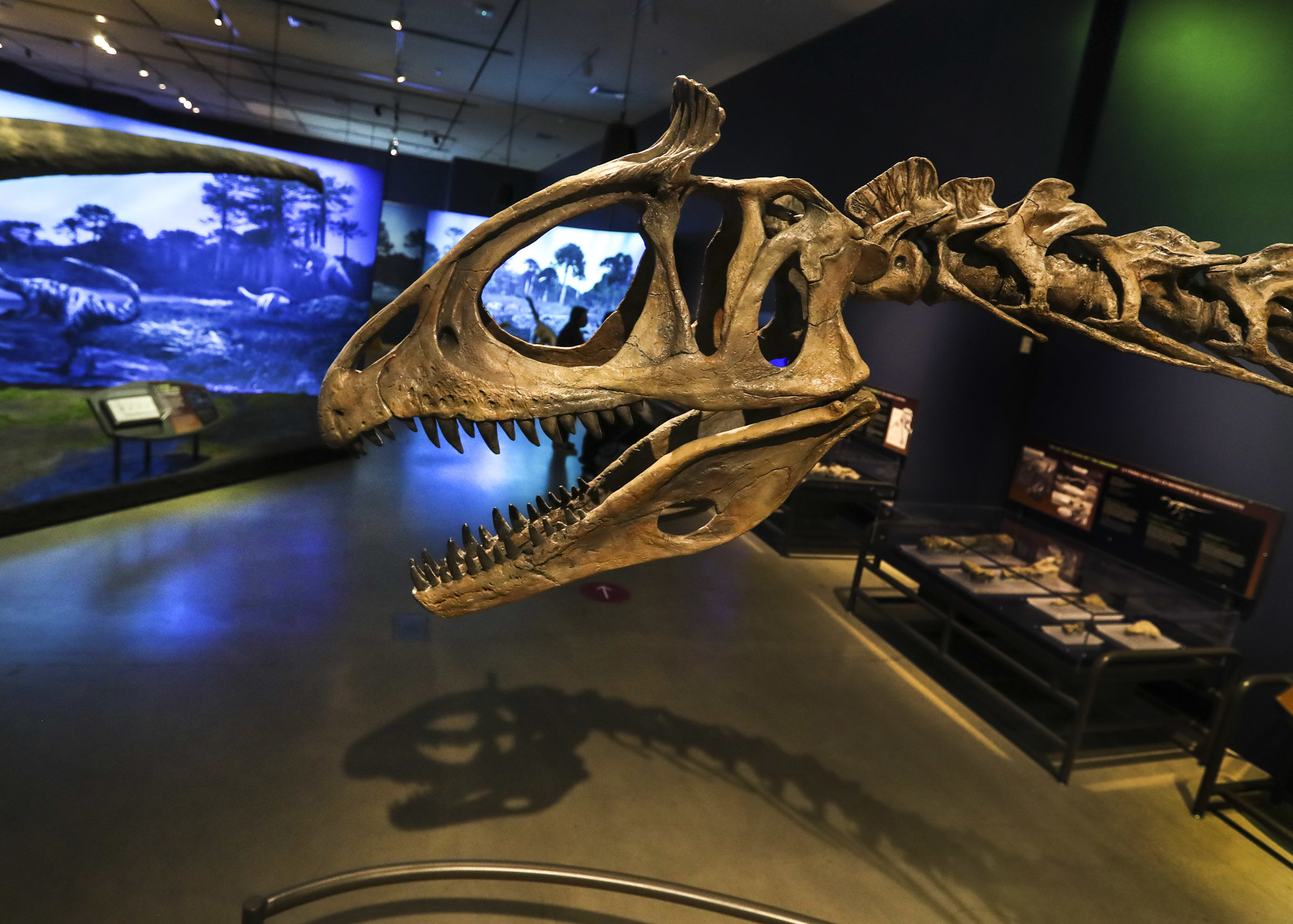 The Natural History Museum now has accessible audio tours available to visitors....