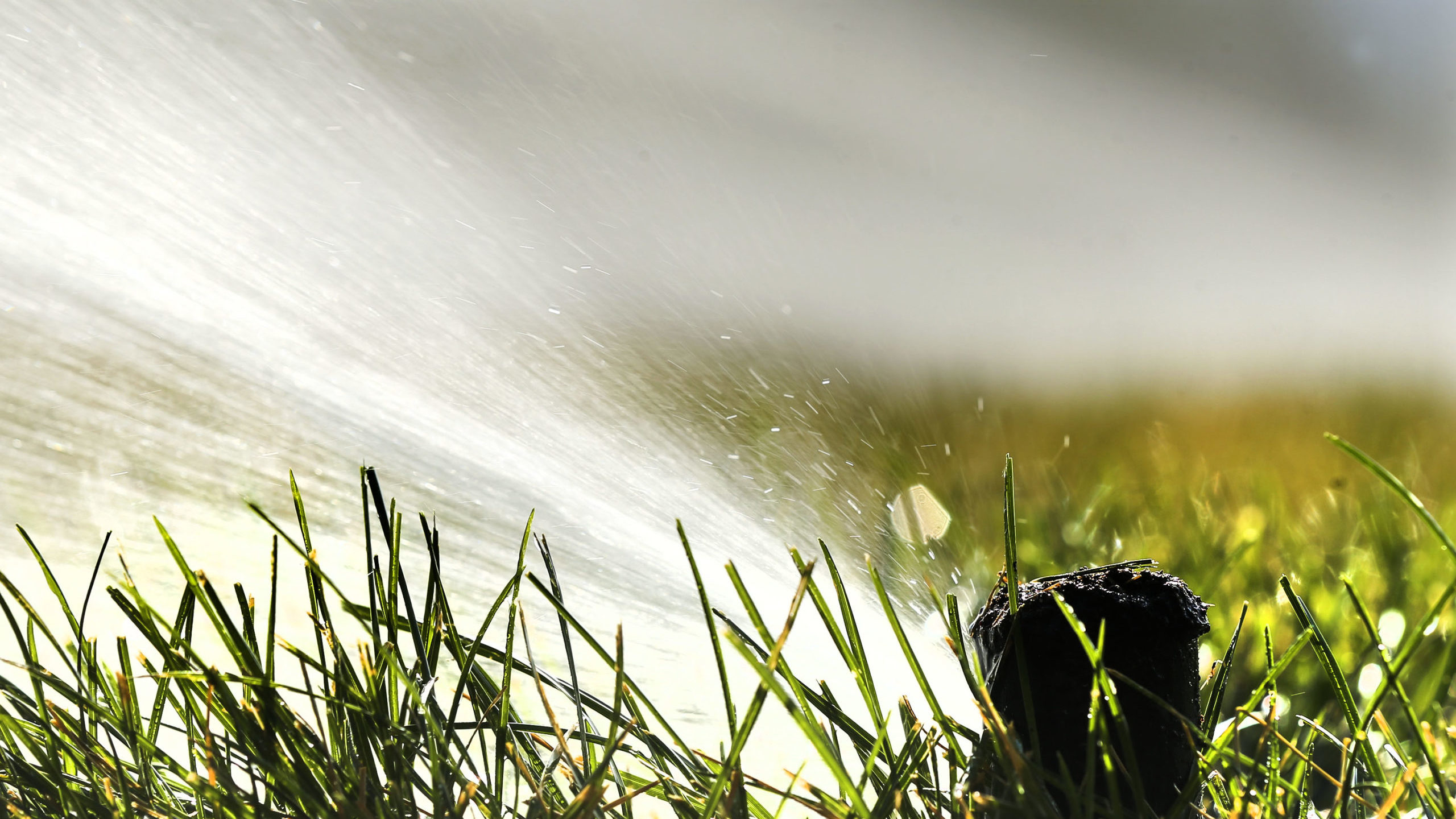 a sprinkler shoots water over grass, utah drought conditions have improved...