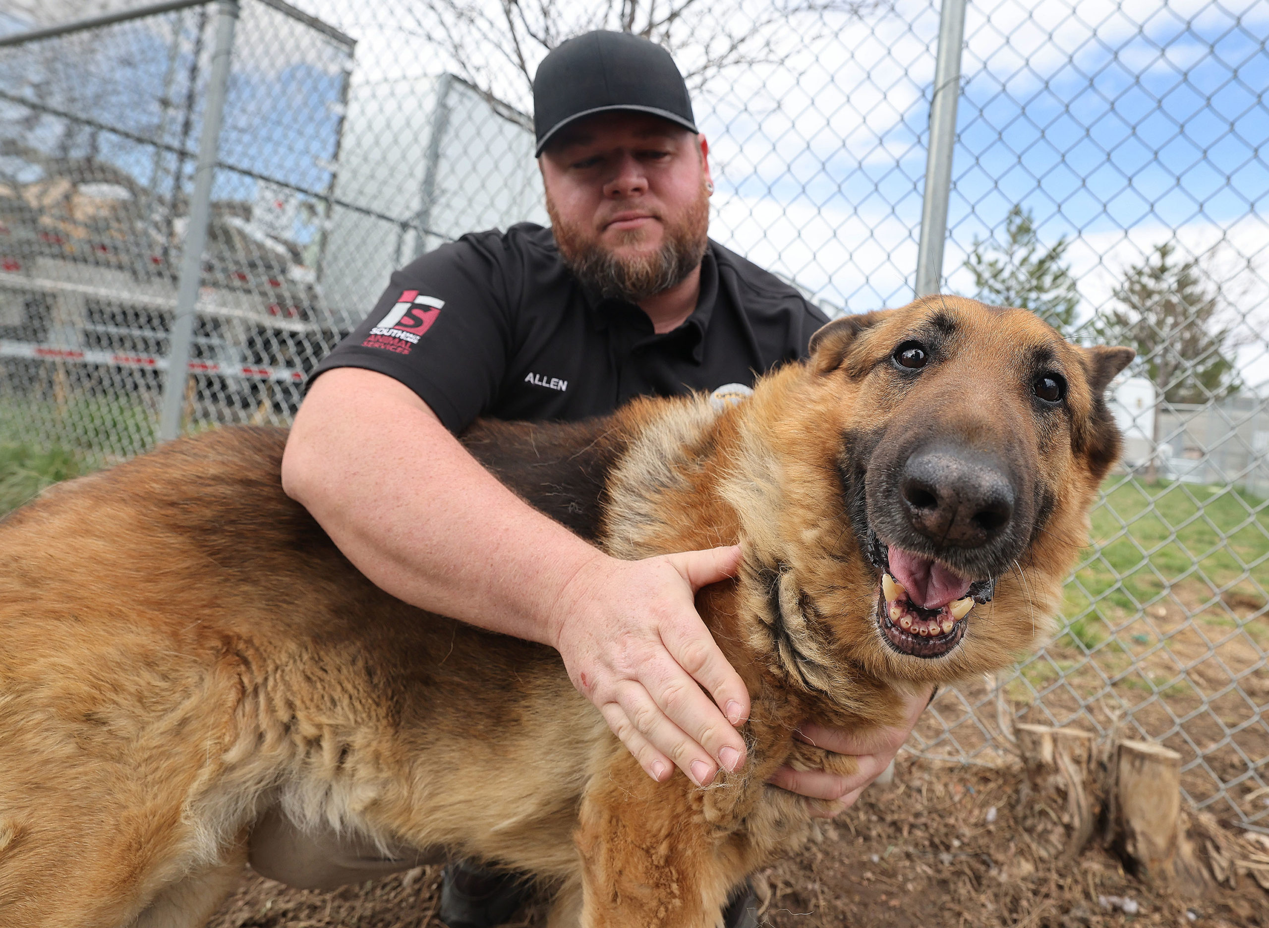 South Salt Lake animal shelter control officer Zach Allen pets a dog at the shelter in South Salt L...