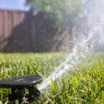 Division of Natural Resources offers weekly lawn watering guide