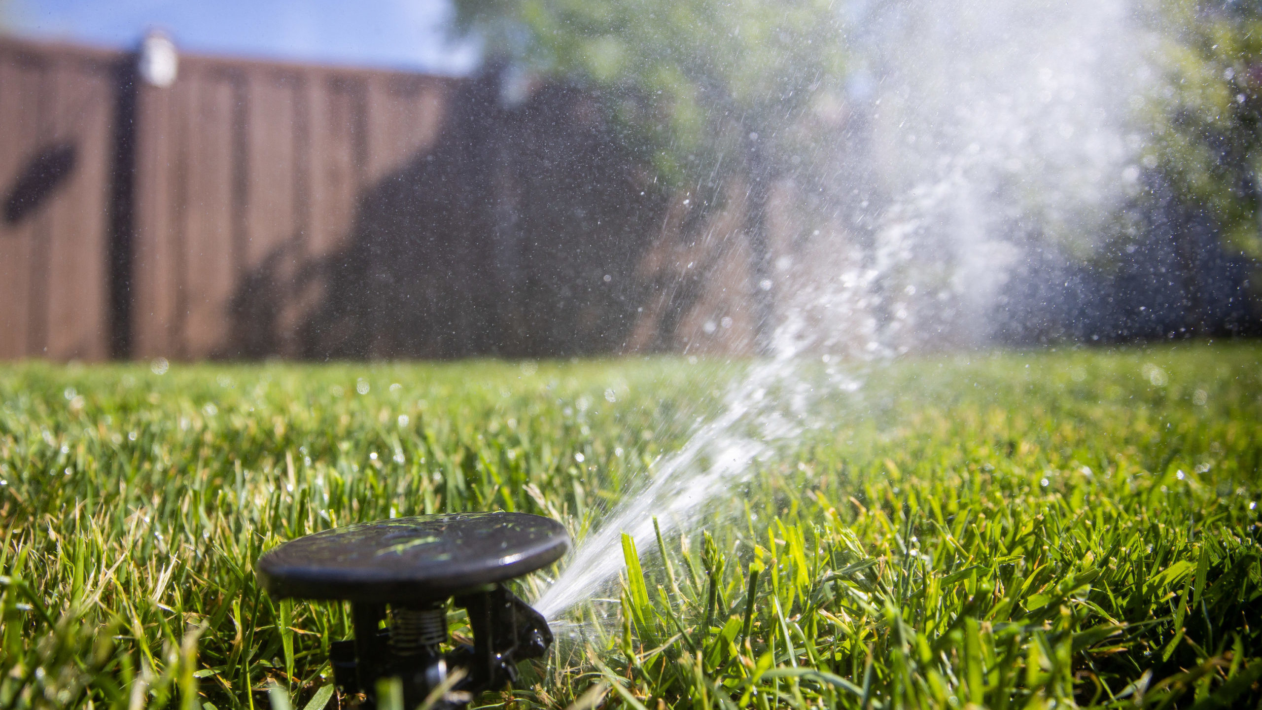 BYU study finds we need to stop watering as much as we are....