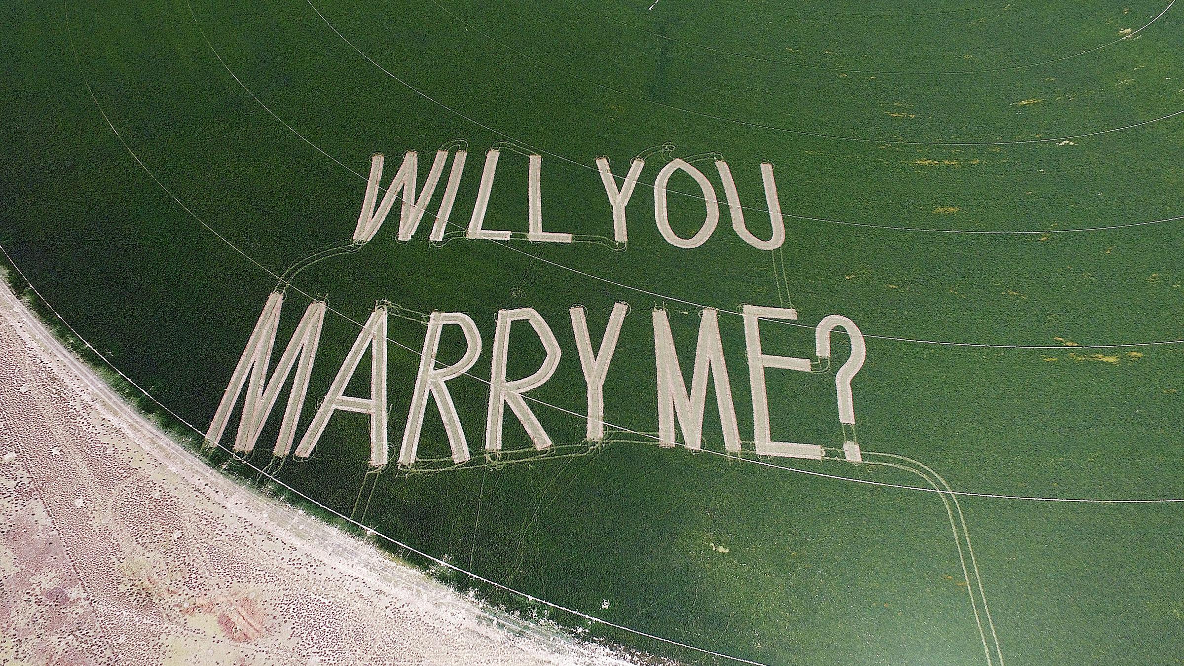 Tanner Holt used a swather to cut "Will you marry me?" into a large hayfield at his family's ranch ...