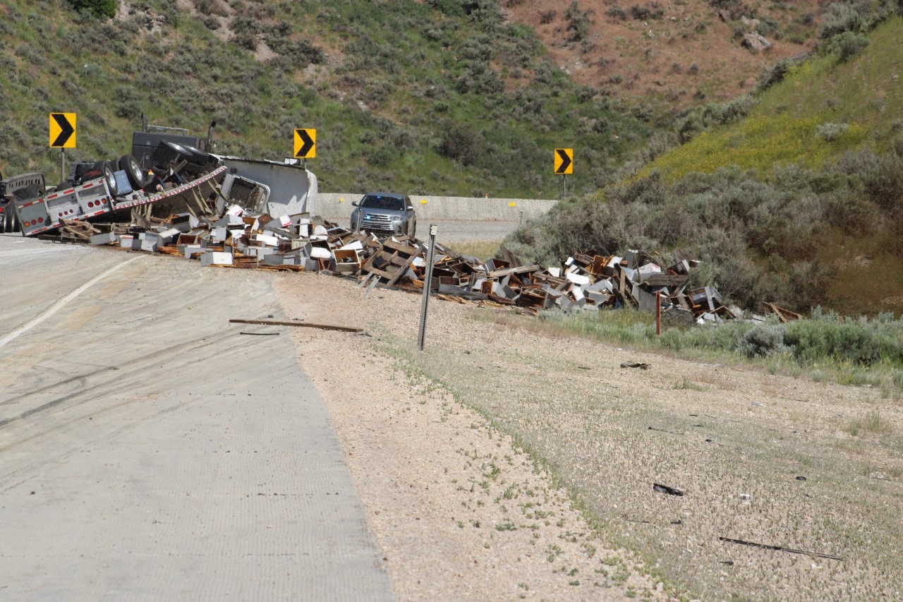 Over 200 behives broke on I-80 as the semi-truck transporting them rolled. Photo credit: Park City ...