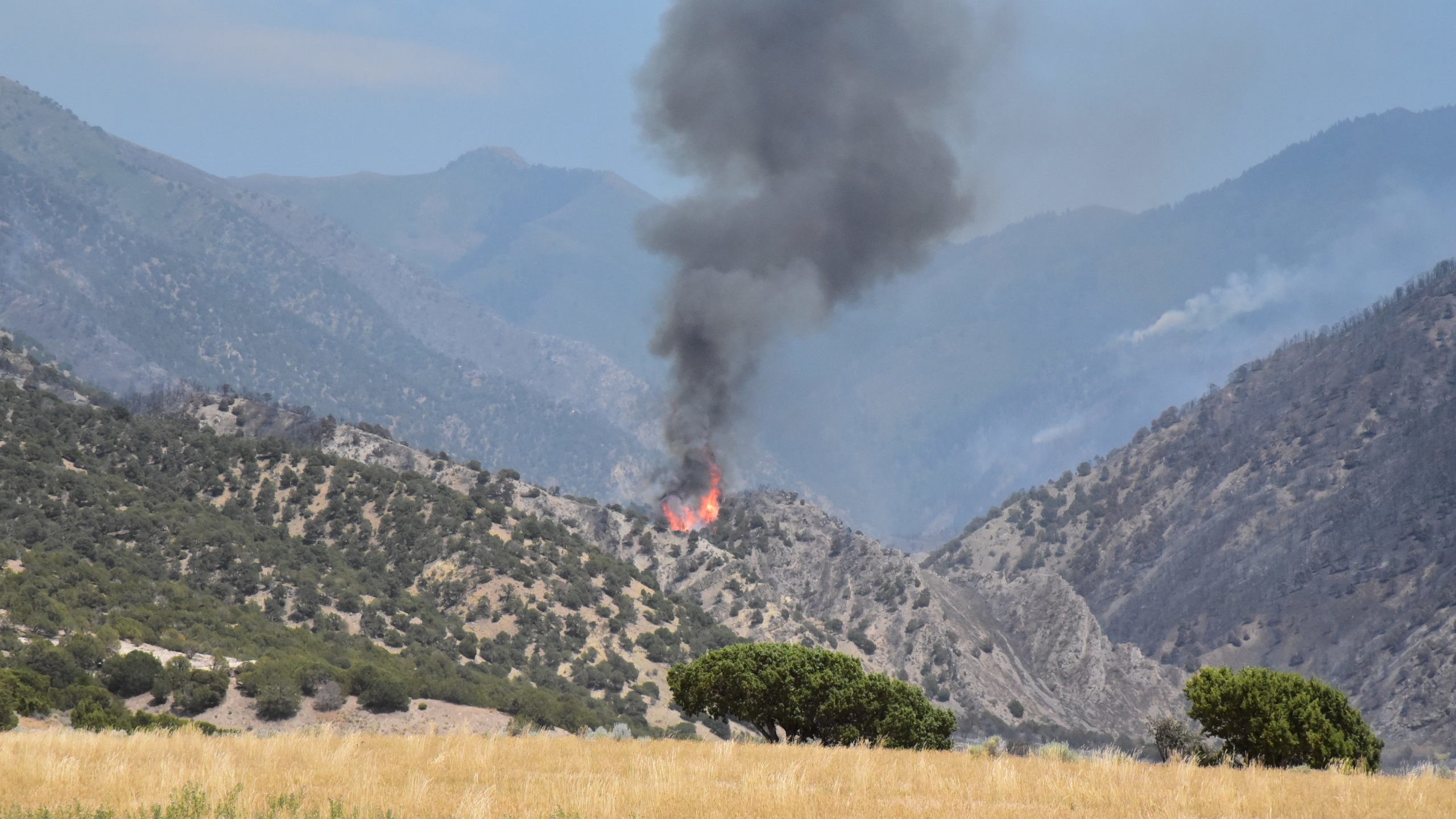 The closure of public lands in the area of the Jacob City Fire was announced Wednesday as authoriti...