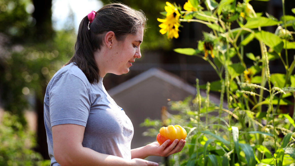 Some home gardeners hire professionals, while many just rely on neighbors and hope for the best....
