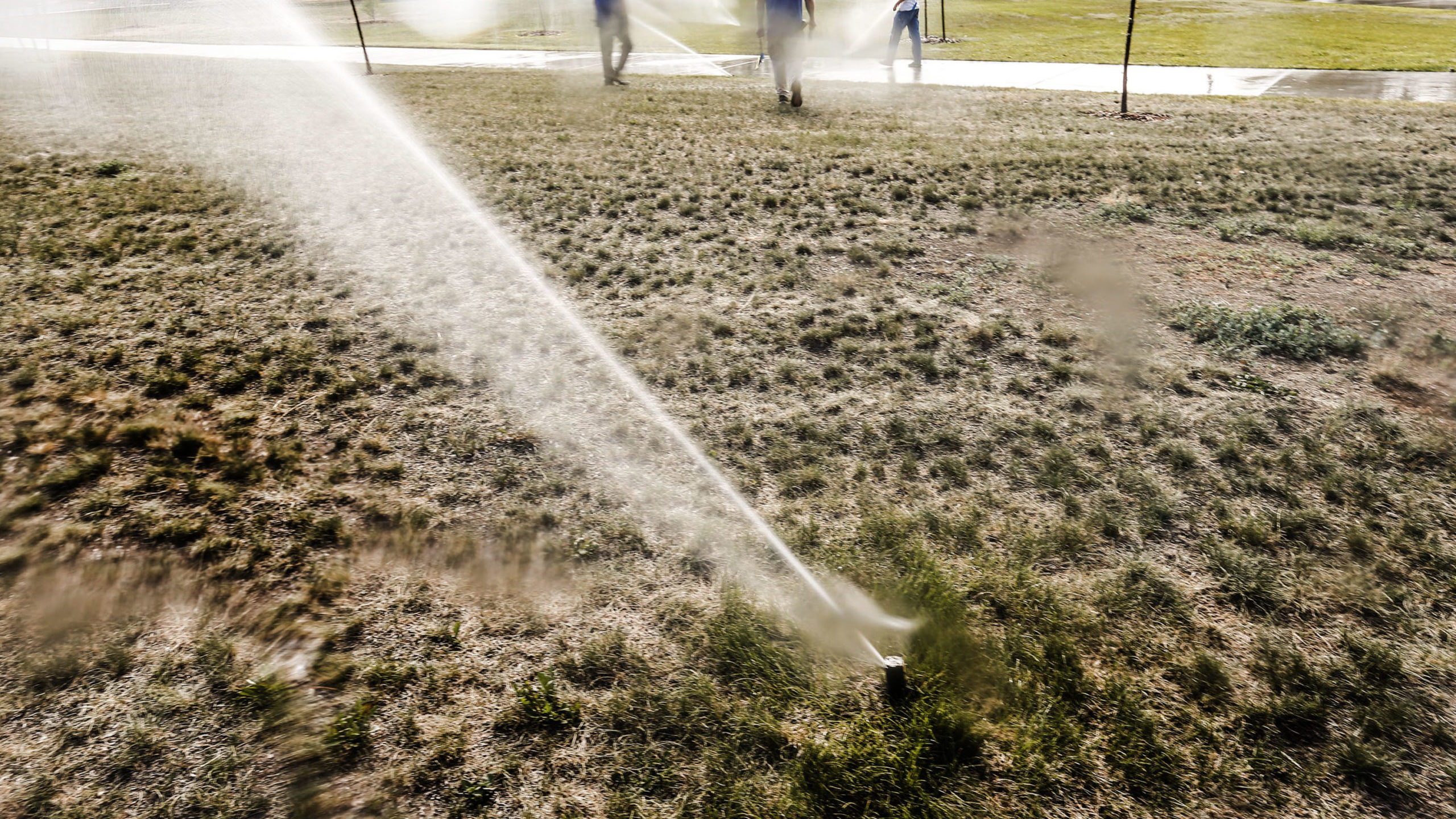 Sprinkler watering lawn pictured. Drought water conservation made improvements this year....