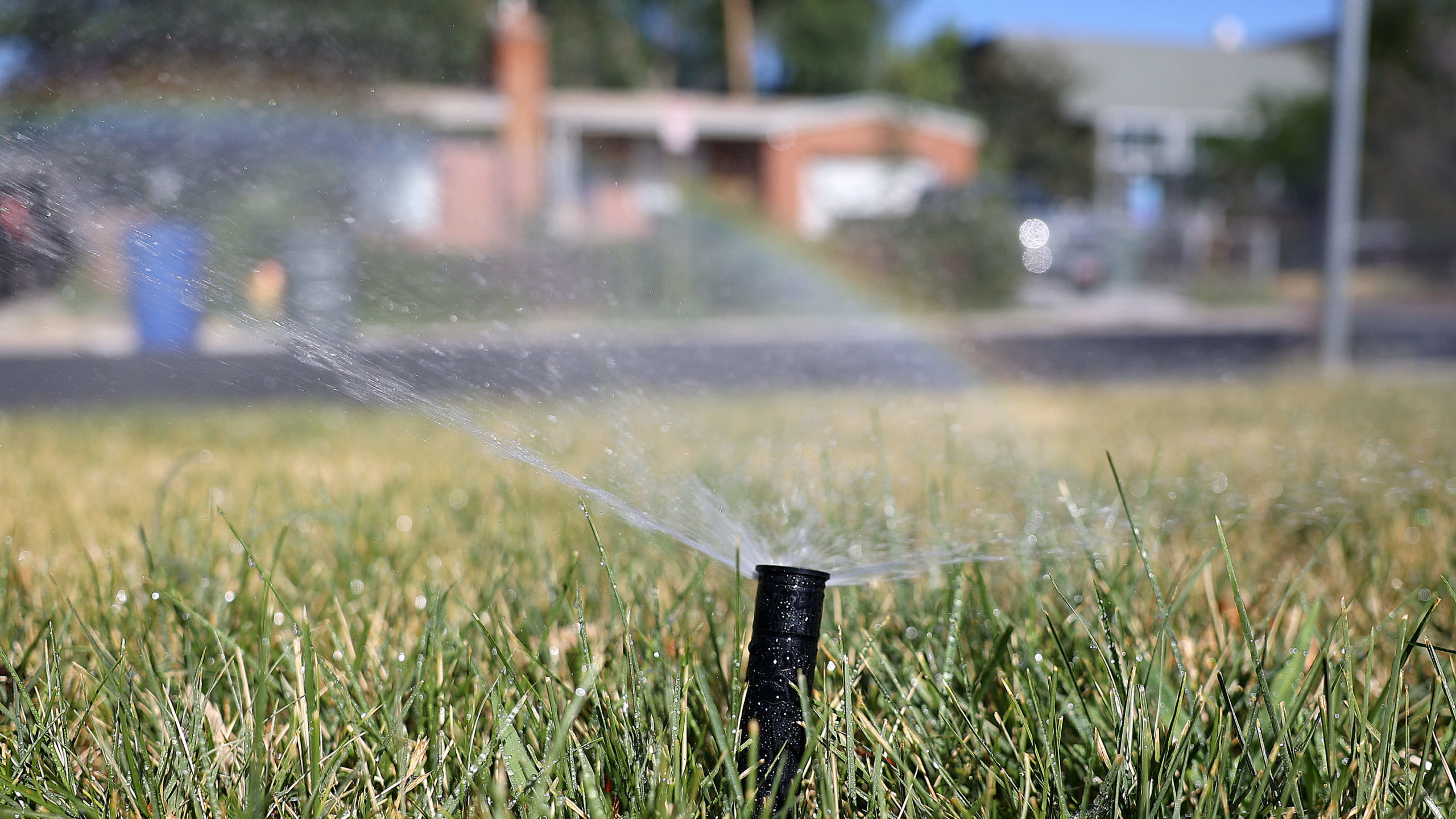 Sprinkler is shown. Salt Lake water usage was down, saving almost 3 billion gallons...