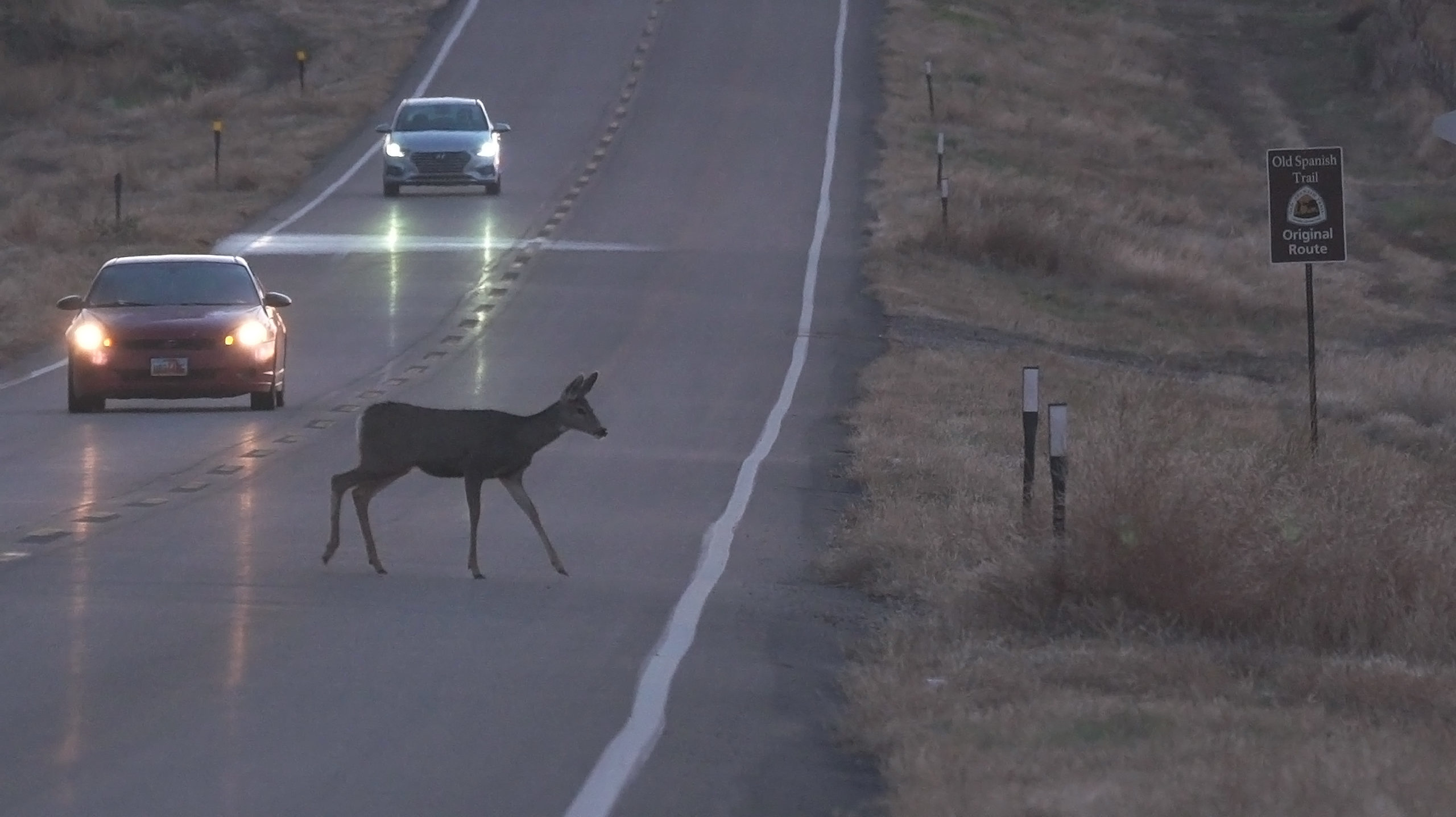 Officials with the DWR are urging motorists this Memorial Day weekend to be on the lookout for deer...