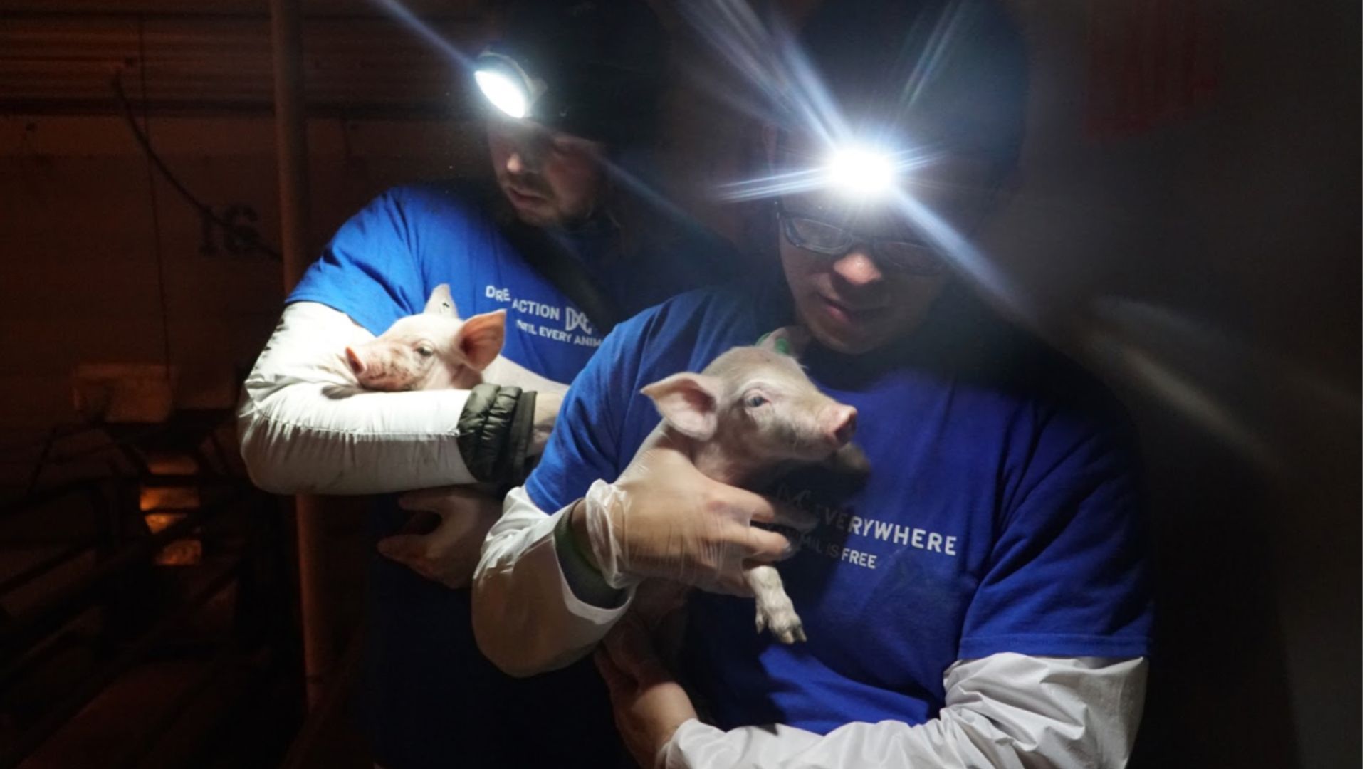 Wayne Hsiung (front) holds a piglet at Circle Four Farms in Milford, Utah (Credit: Direct Action Ev...