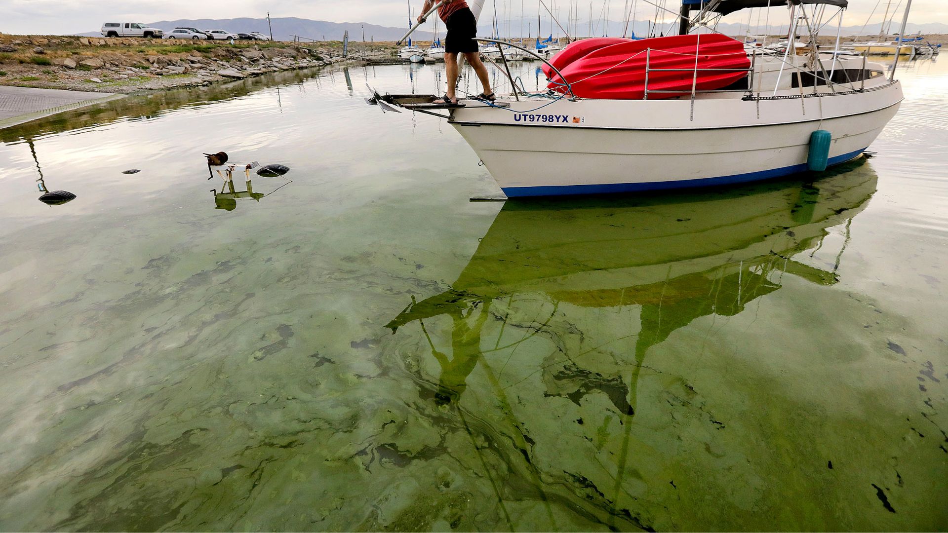 Jeff Mortensen guides the boat Odyssia through algal blooms in Utah Lake toward a boat ramp at the ...