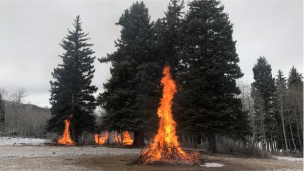 Prescribed burning is being planned for the Manti La Sal National Forest. The burns will be held du...