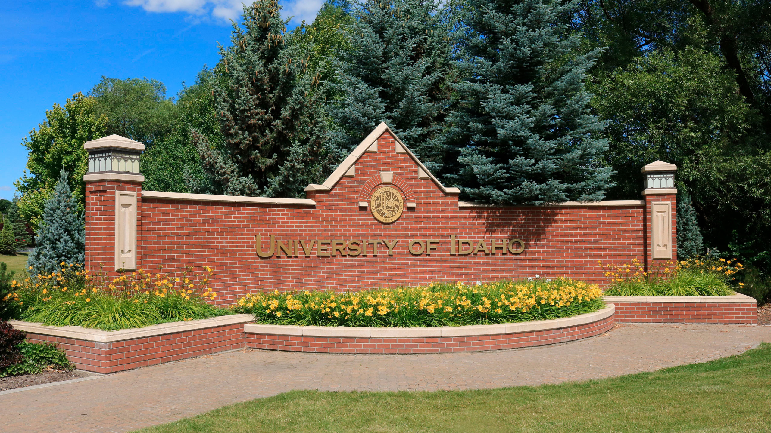 The bodies of four people believed to be students at the University of Idaho were found by police n...