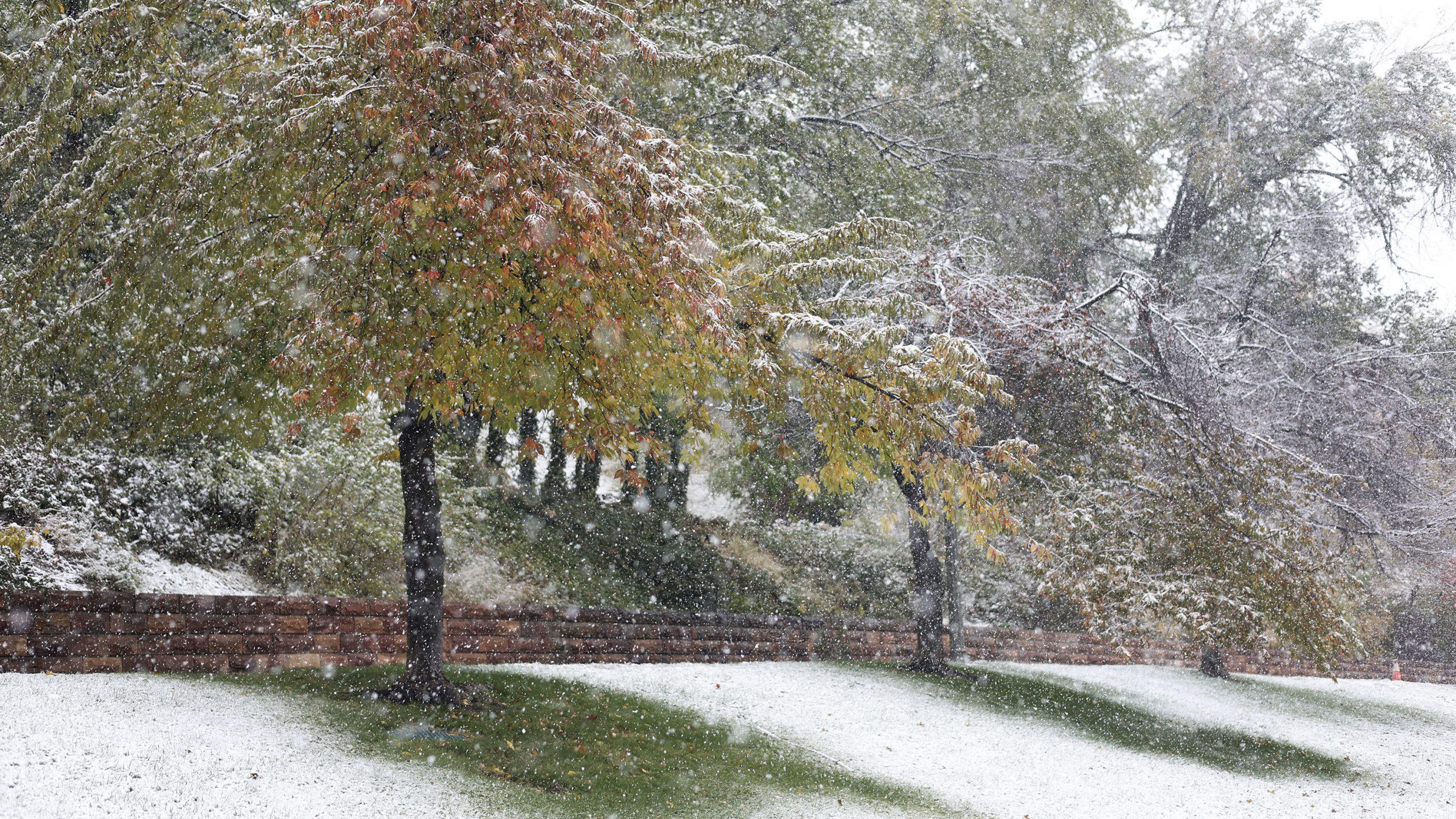 Snow falls in Memory Grove in Salt Lake City on Wednesday, Nov. 2, 2022. Photo credit: Laura Seitz,...