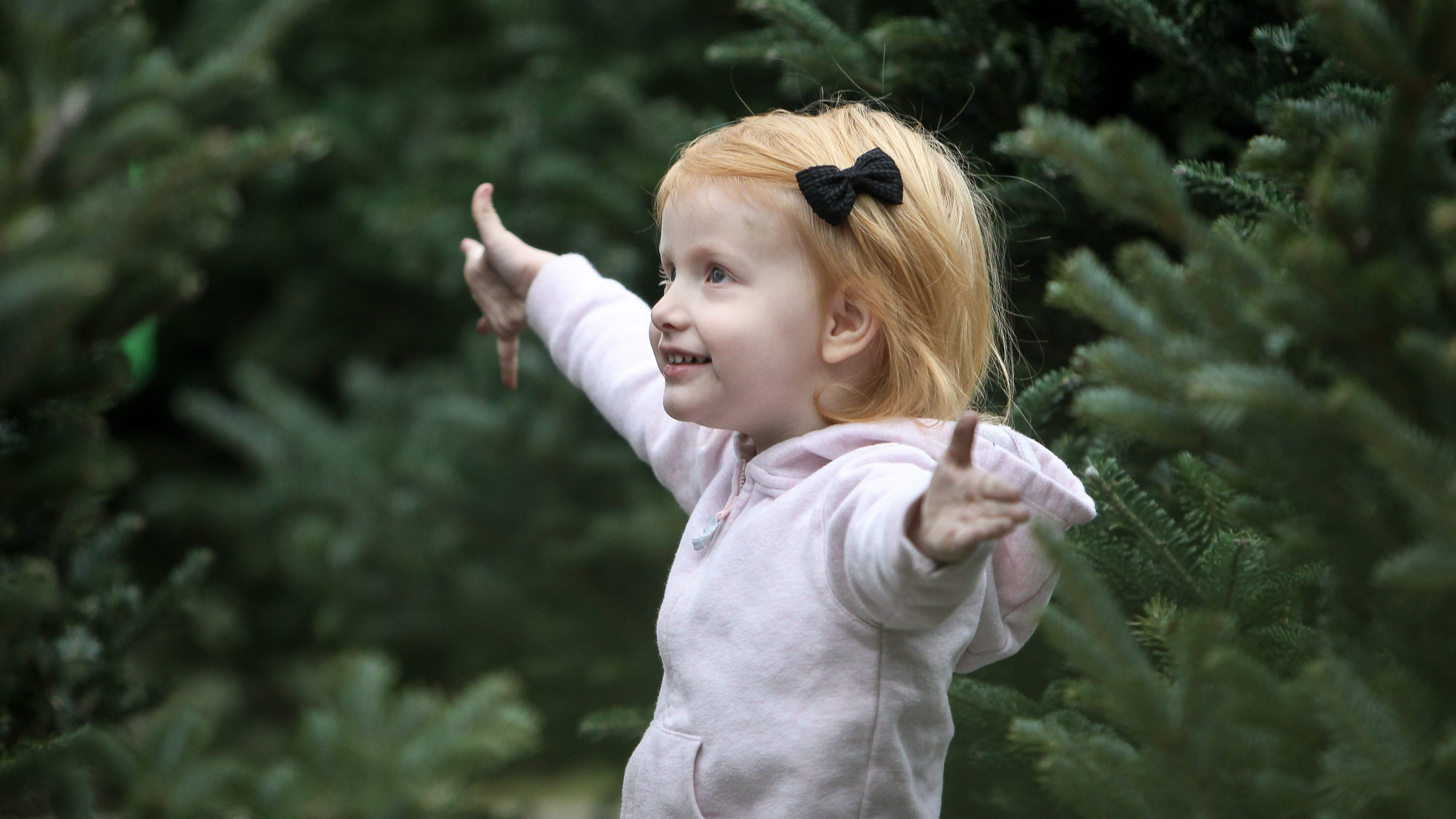A little girl is pictured next to christmas trees, fourth graders will get a free christmas tree pe...