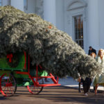 First lady Jill Biden chooses 'We the People' as theme for White House holiday decorations
