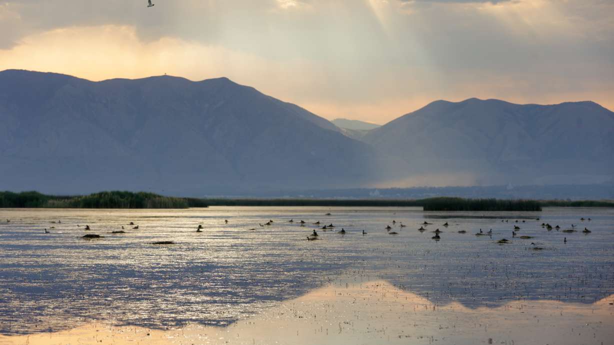 A study co-authored by a BYU professor says the Great Salt Lake could be gone in five years unless ...