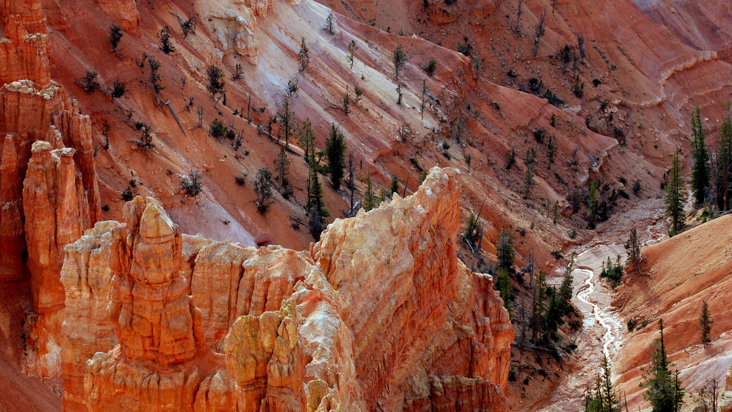 Cedar Breaks National Monument's colorful carved amphitheater of stone sits high on the plateau abo...
