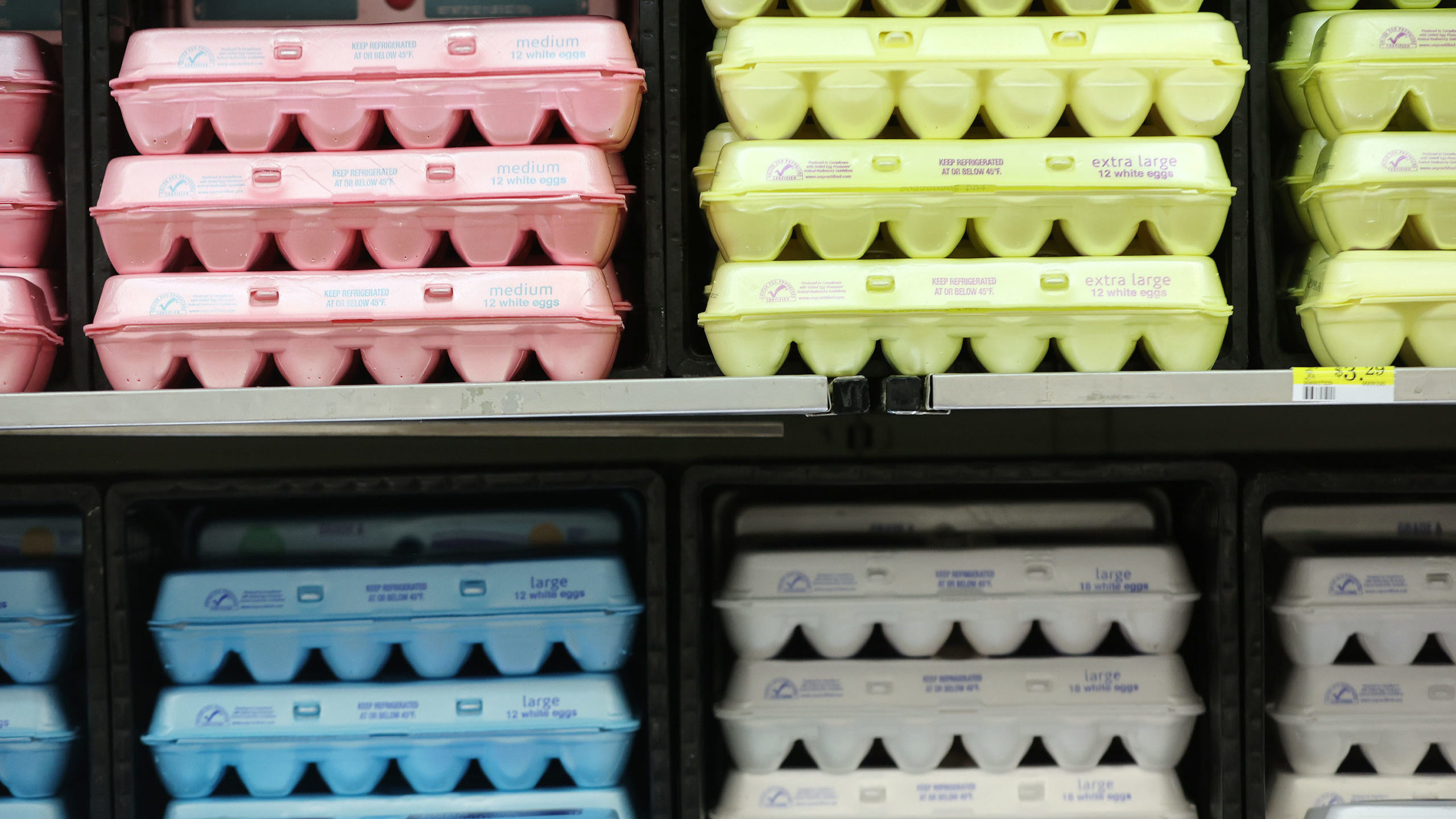 egg cartons are pictured in a store fridge, there is currently an egg shortage...