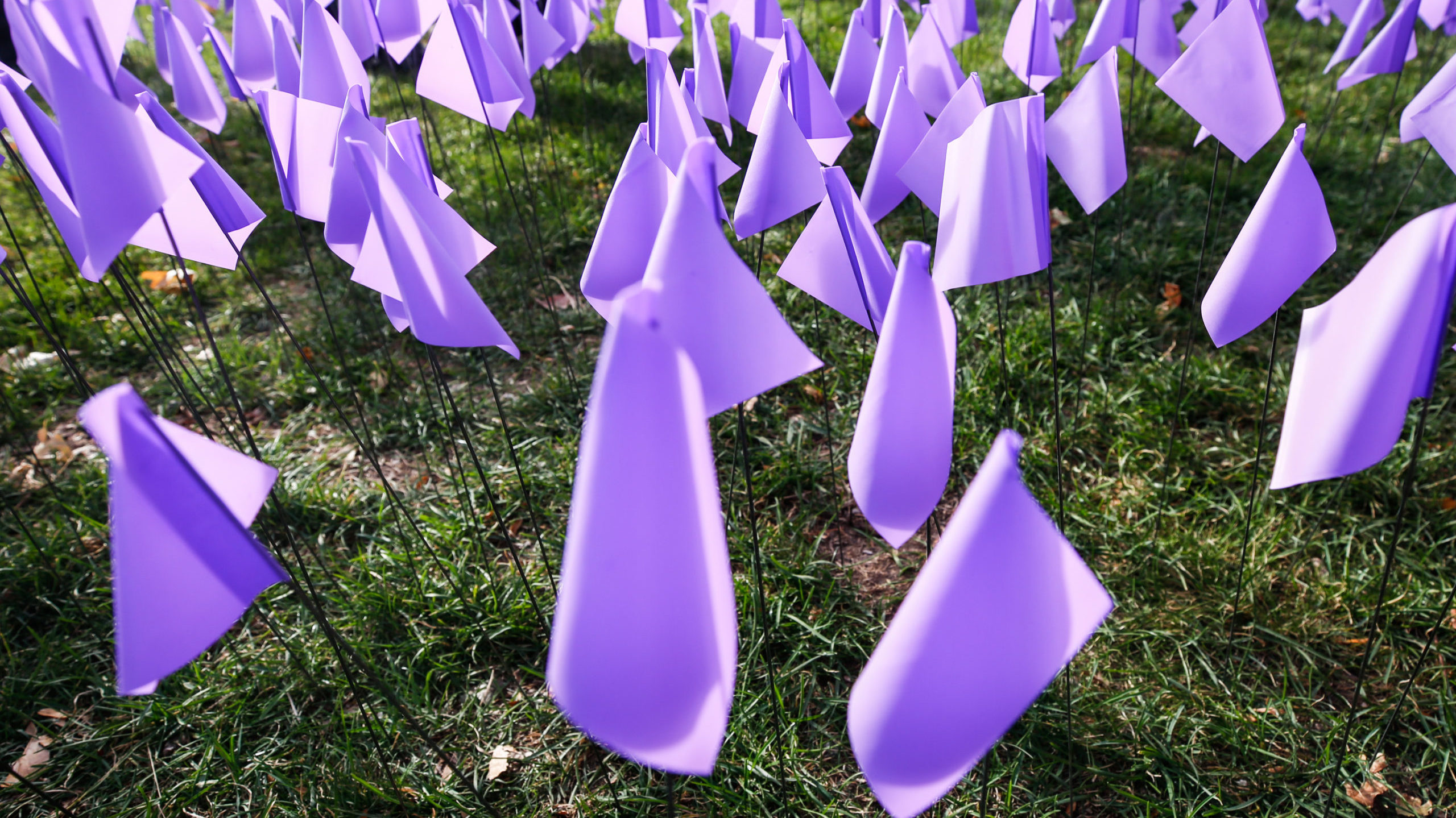 FILE: Purple flags at Liberty Park in Salt Lake City. A Utah lawmaker says it's too easy for a rest...