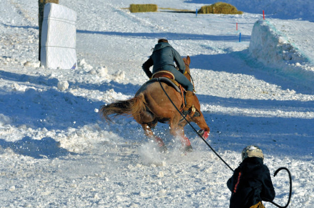 Skijoring participant pulled by a horse in a snowy obstacle course