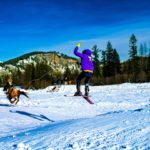 Looking for a New Winter Activity? Try Skijoring in Bear Lake