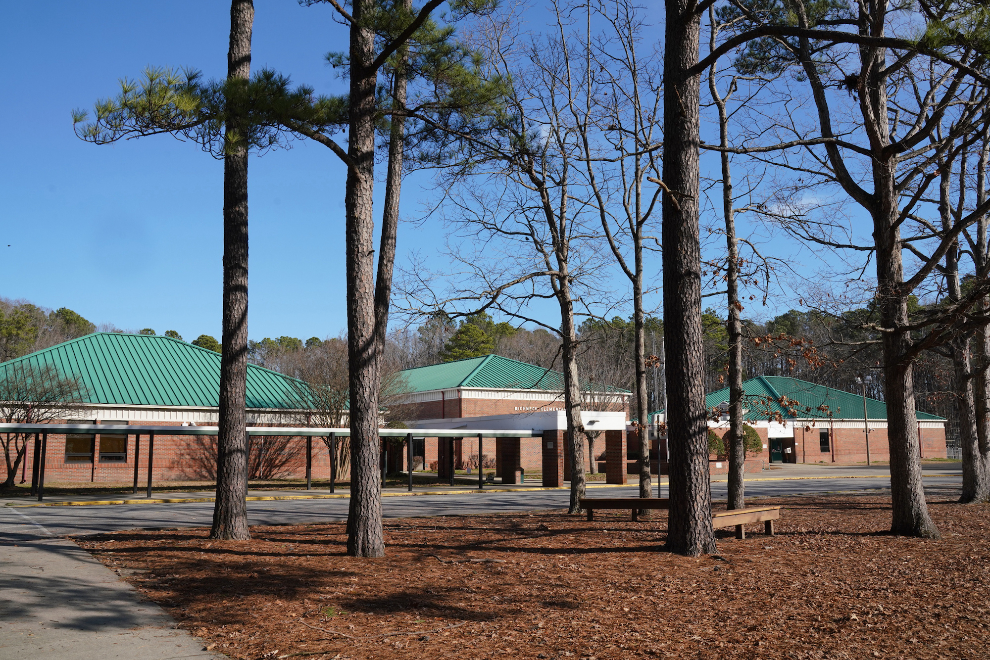 NEWPORT NEWS, VA - JANUARY 07: Tall pine trees outside Richneck Elementary School on January 7, 202...