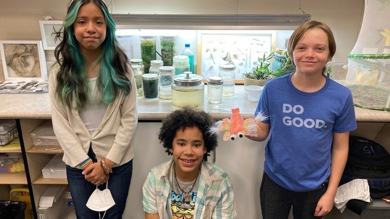 Students from Emerson Elementary in Salt Lake City created a petition to name the brine shrimp the ...