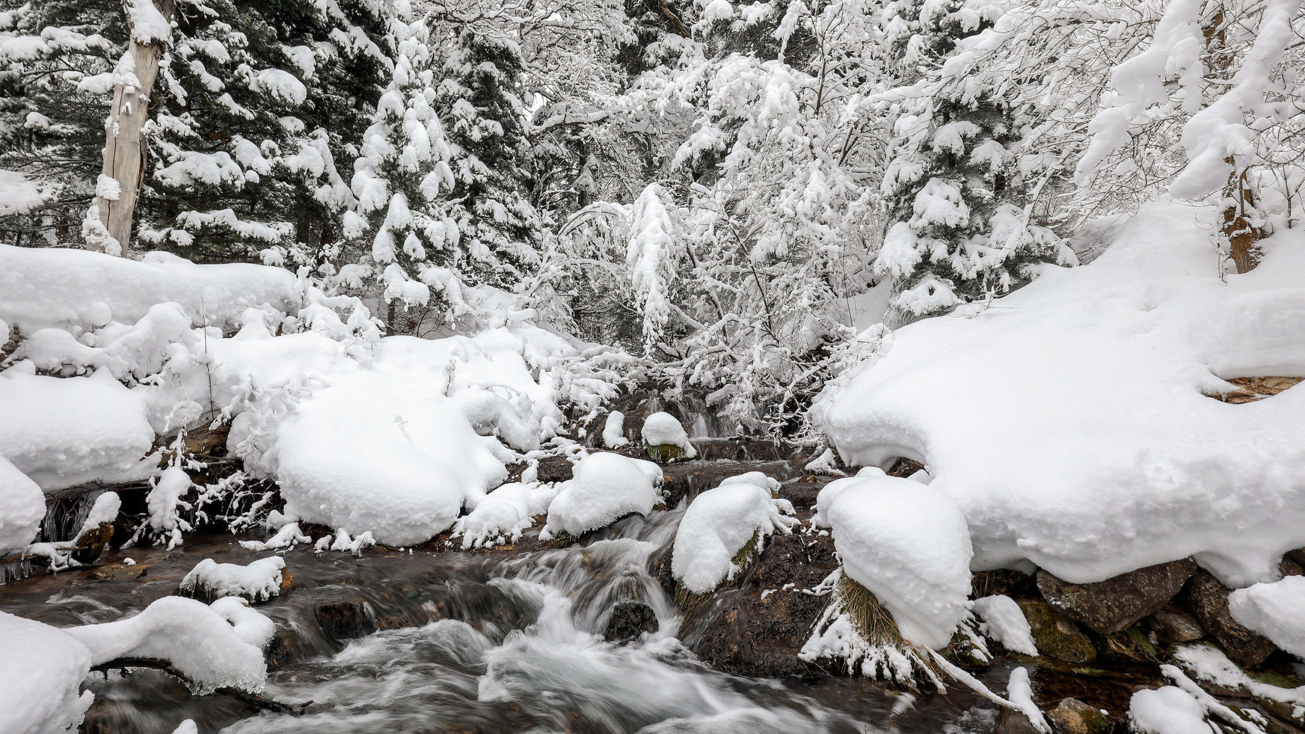 Water flows through Mill Creek as snow blankets Millcreek Canyon on Tuesday, Jan. 3, 2023. Utah has...