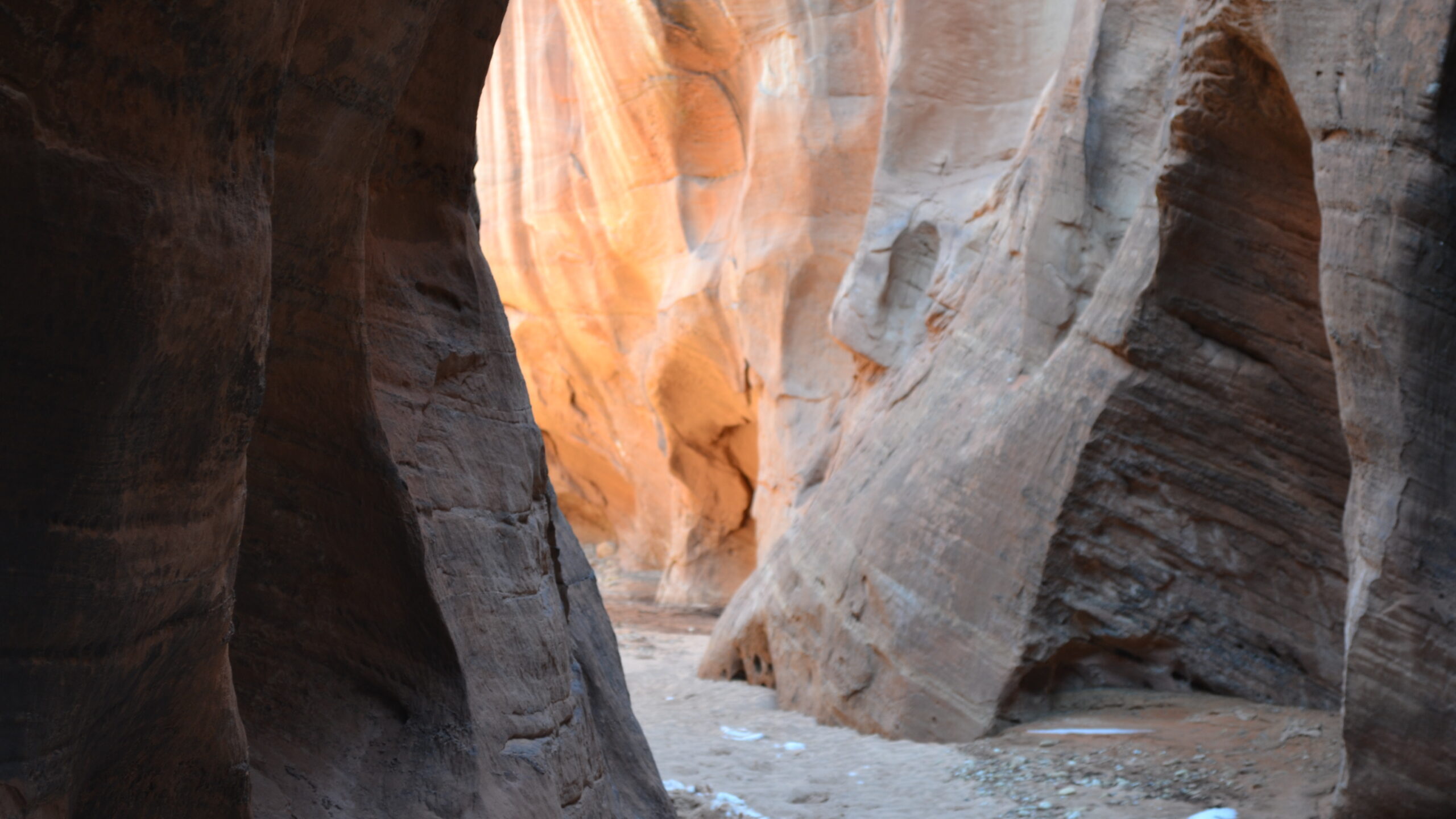 Buckskin Gulch, located in Kane County, has been the site of four fatalities in recent weeks due to...