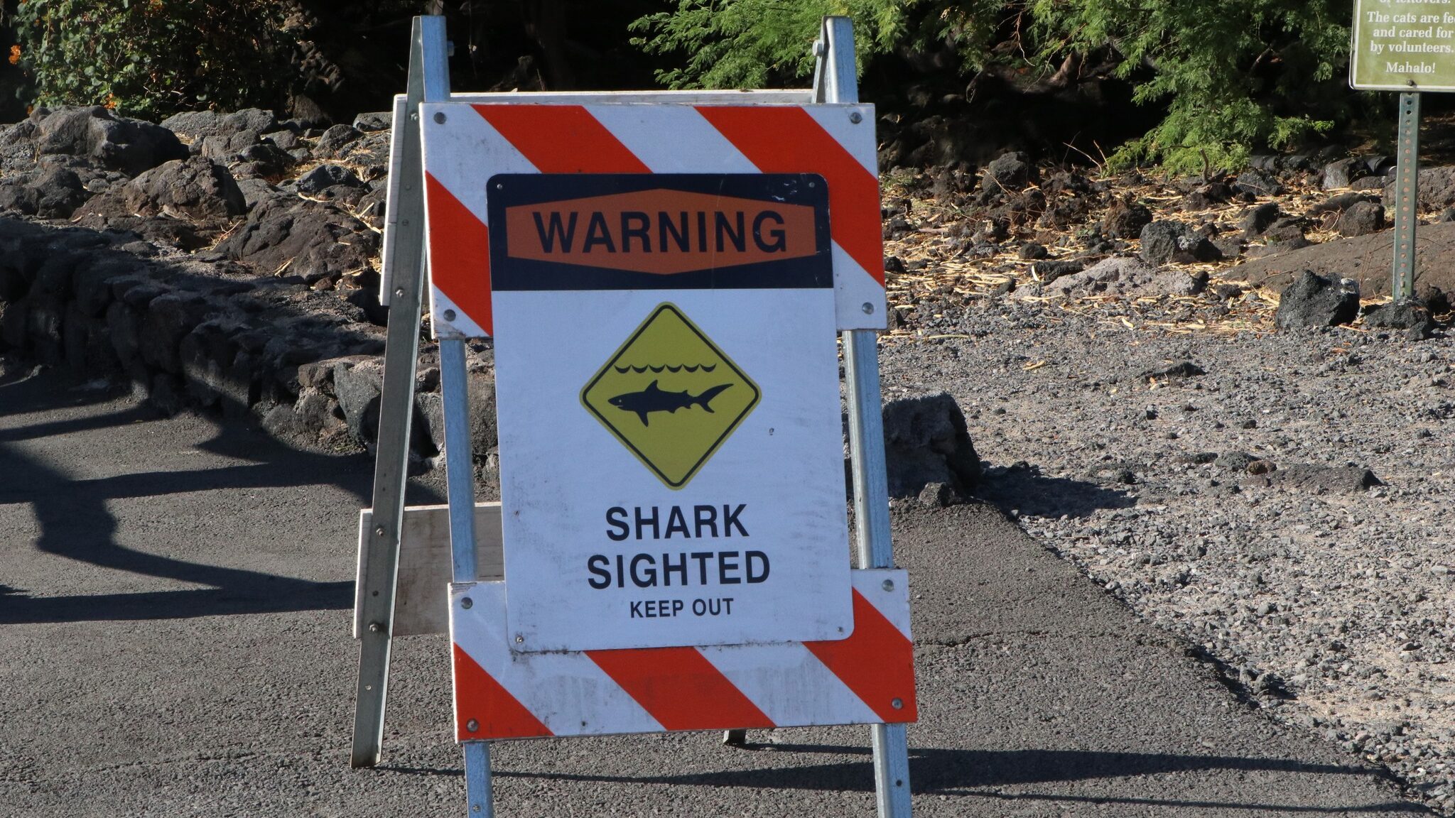 A Utah man is recovering from a shark bite he suffered while swimming in the waters near Hawaii on ...