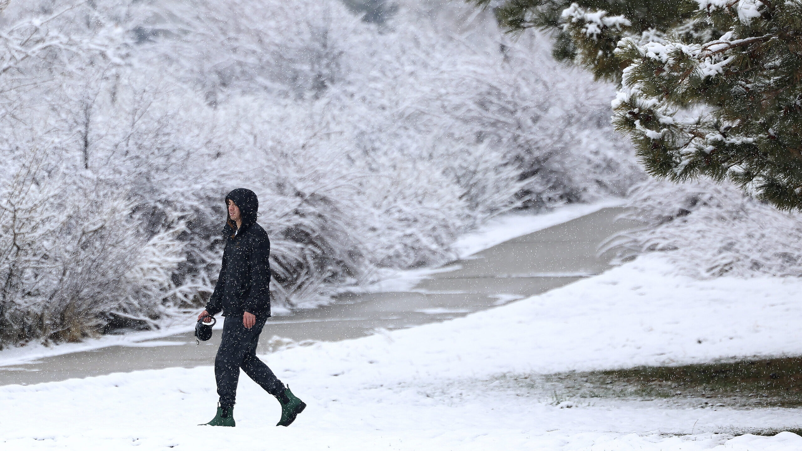 a woman walks through a snowy park, this winter has been good for utah drought conditions...