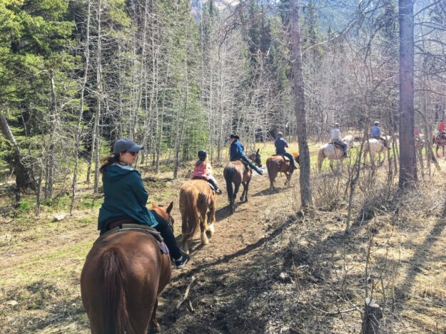 A group of people riding horses during a guided tour in the forest