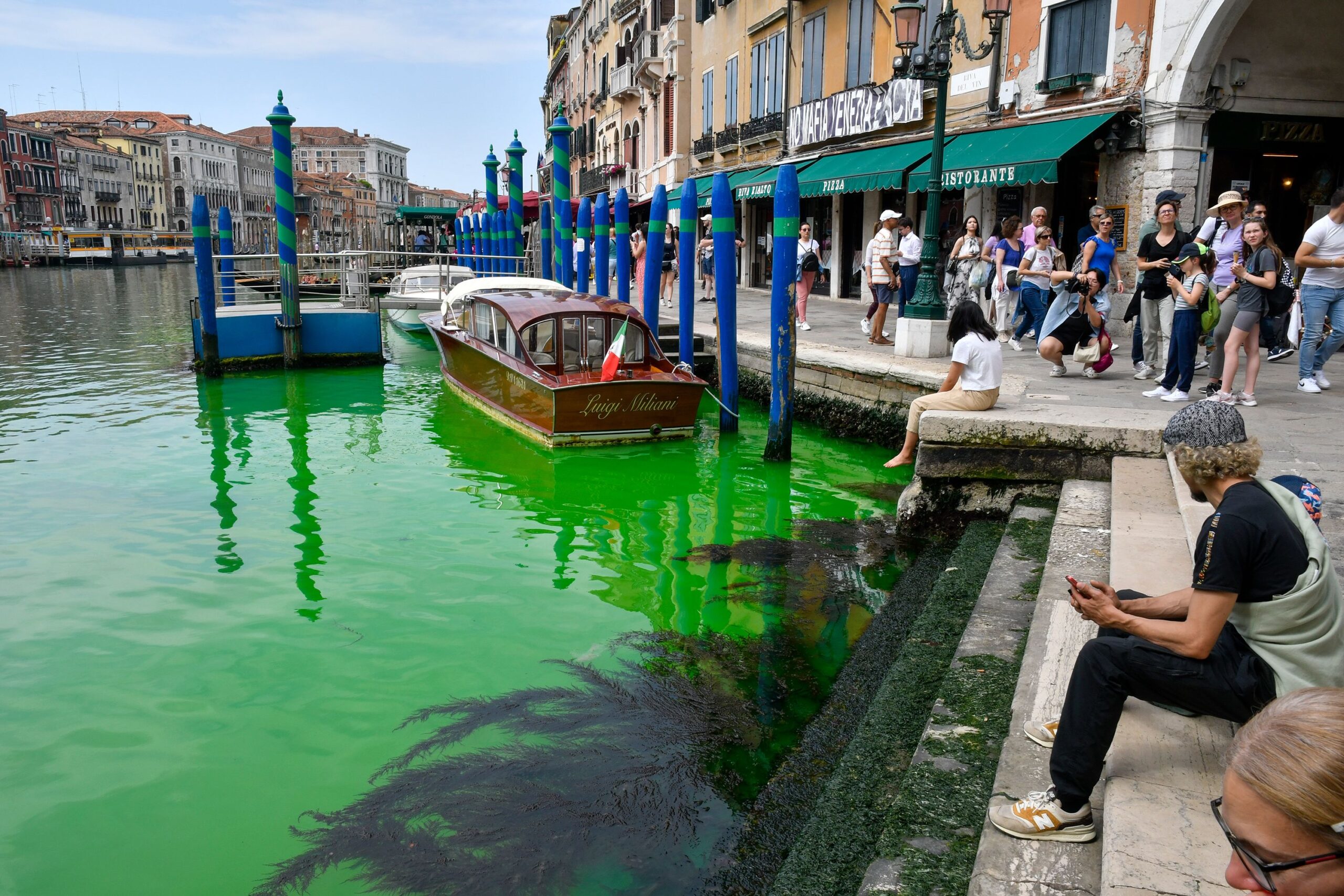 Venice canal turns fluorescent green...