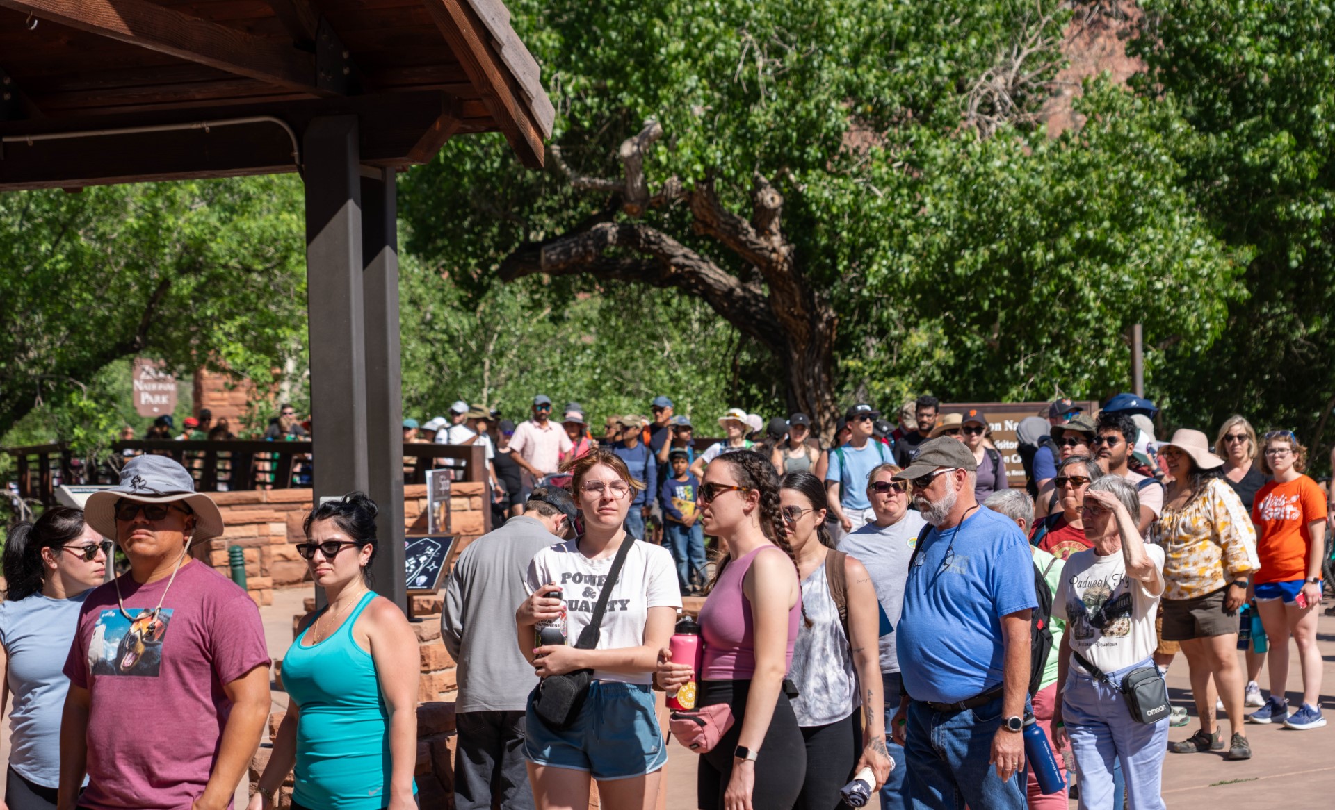 Long lines and heavy traffic are expected at Zion National Park this summer as they prepare for the...