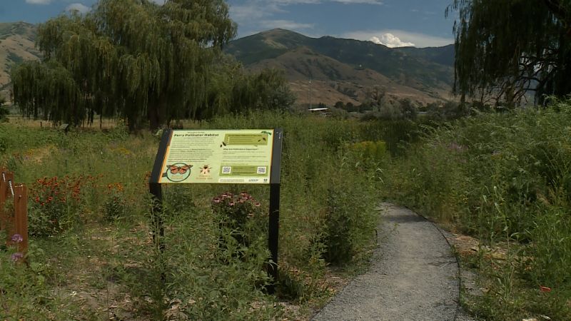 At the northbound I-15 rest stop in Perry, there is a pollinator garden. A new pilot program from U...