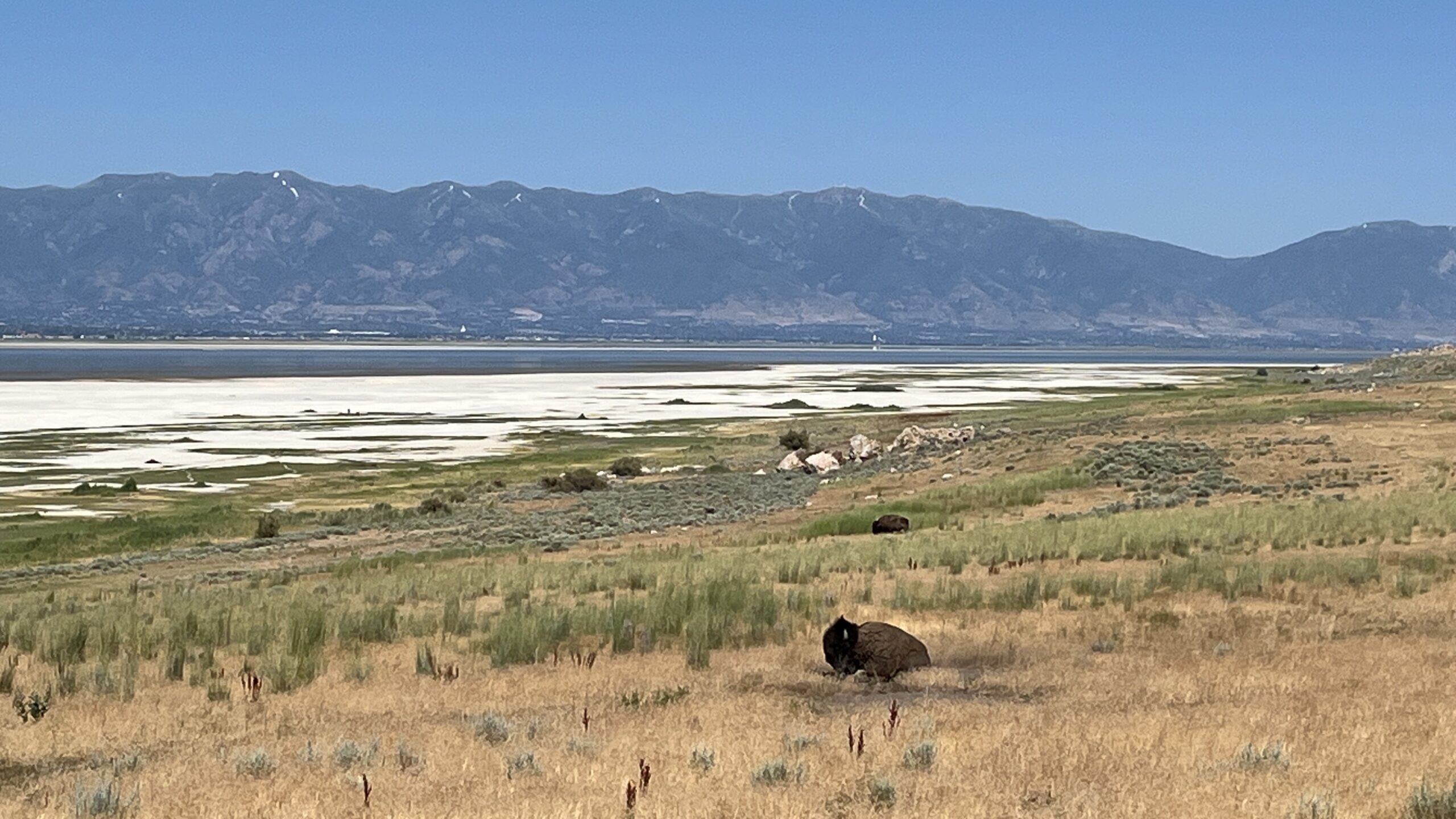 The Great Salt Lake and its shore are the subject of a lawsuit filed by environmentalists and conse...