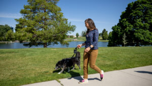 SALT LAKE CITY -- The excessive heat is posing a danger to more than just people. As Utahns flock to lakes and mountains to escape the heat - some of them are bringing their pets. Pets are also put at risk when temperatures are high. Heat stroke, dehydration, paw burns and even sunburns can affect the four-legged friends. There are several things you can do to keep your pet safe in the sun, as well as signs to watch out for.  The Human Society advises we make sure our pets have lots of fresh water and sometimes even ice water. They said that dog-safe sunscreen is best for light-colored dogs, as they are more susceptible to burns and skin cancer. It's also important to provide them with shade that doesn't obstruct airflow and to limit the amount of exercise and sun they get. Short-nosed dogs are more at-risk for breathing issues when it's hot. They can't pant as efficiently, making it difficult to cool themselves down. Experts advise to always check the temperature of sand, pavement or grass. If it is too hot for a human bare foot, it is too hot for paws.