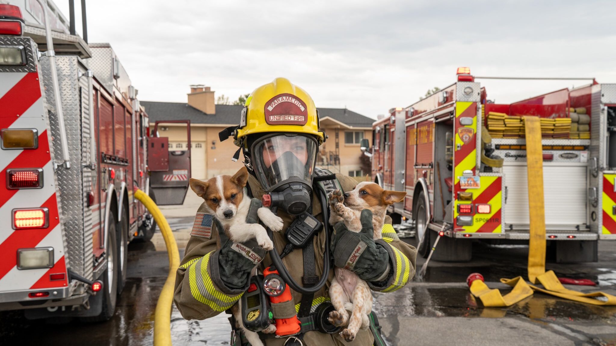 Image of a Unified Firefighter helping to save one of four dogs injured by smoke in a house fire. F...