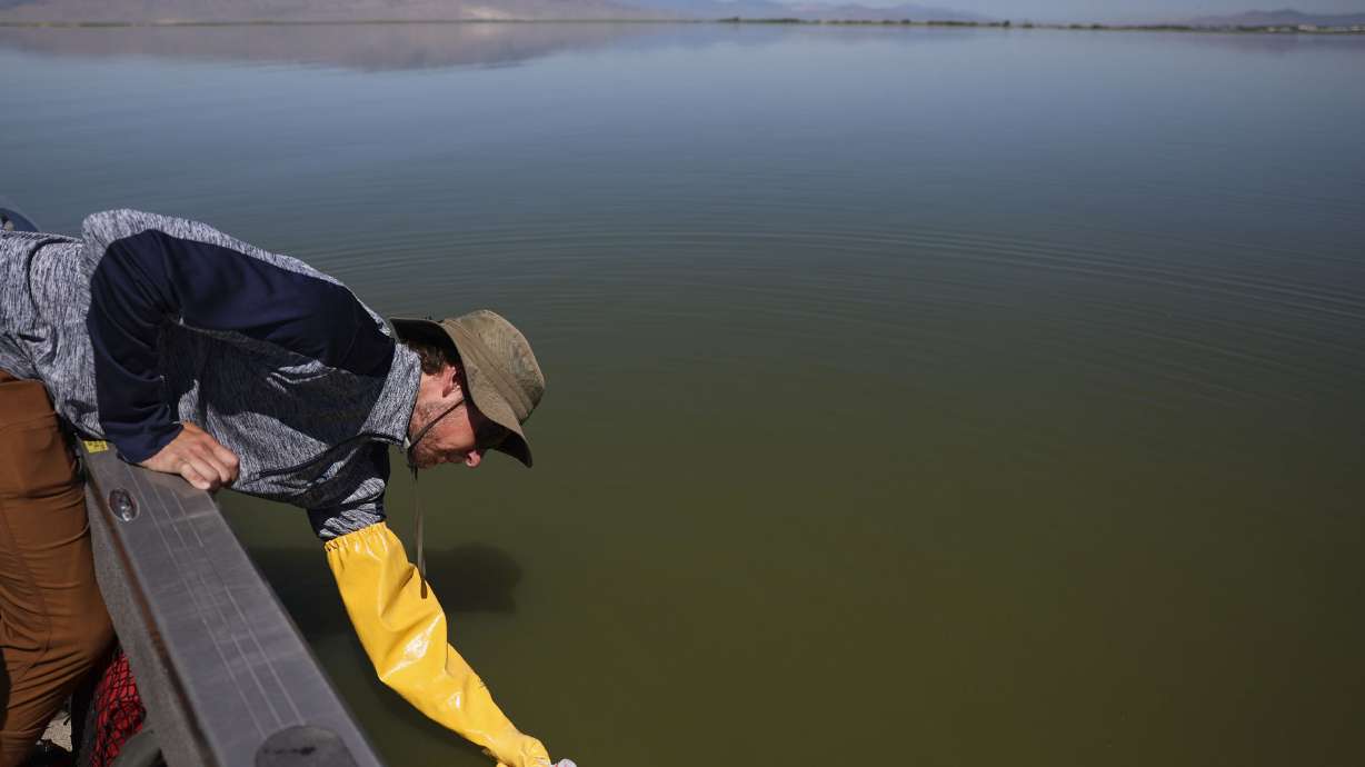 Cody Ellsworth, water quality technician for the Utah Division of Water Quality, collects a sample ...