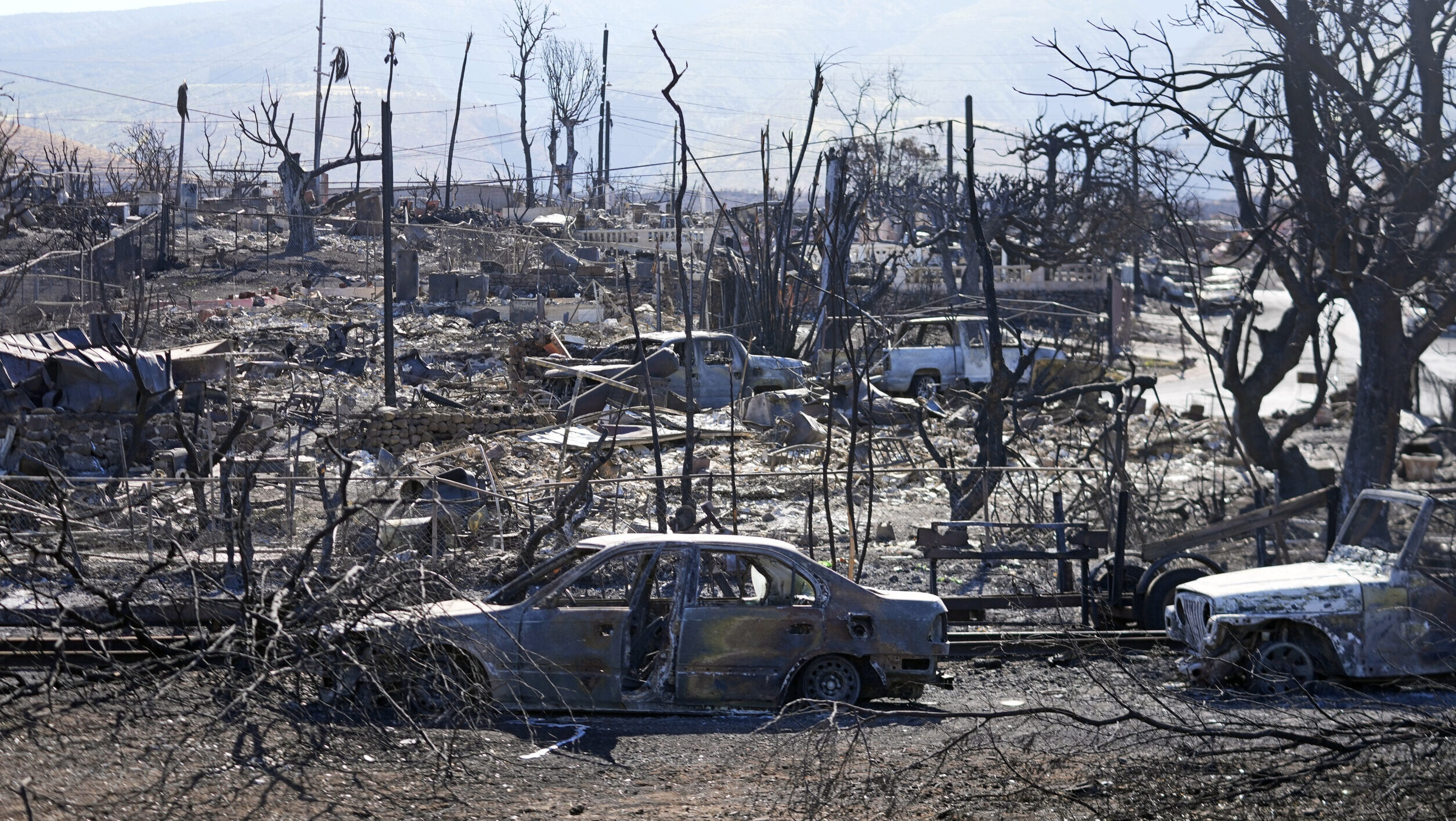 burnt cars and trees in maui...
